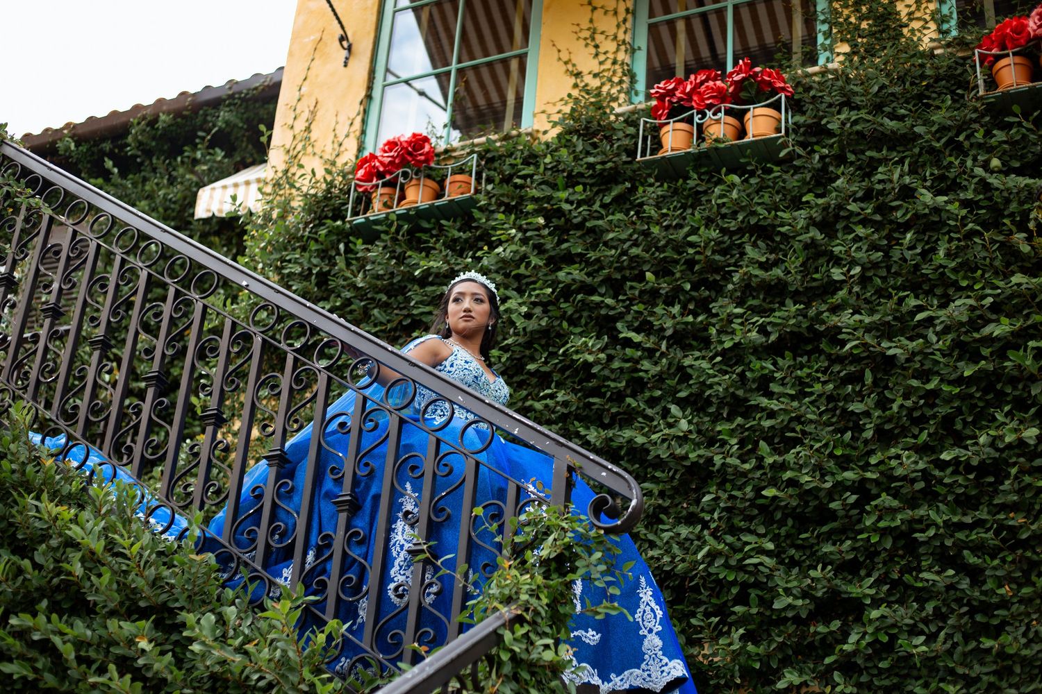 Royal blue quinceañera dress with white embroidery photographed in garden setting.