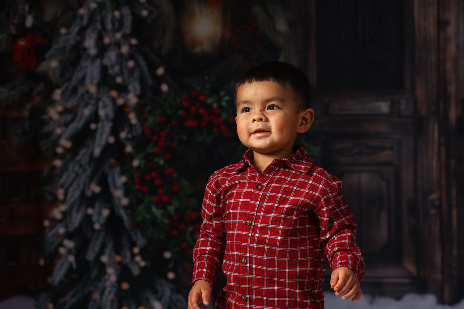 Holiday portrait of young child in red plaid shirt against festive background.