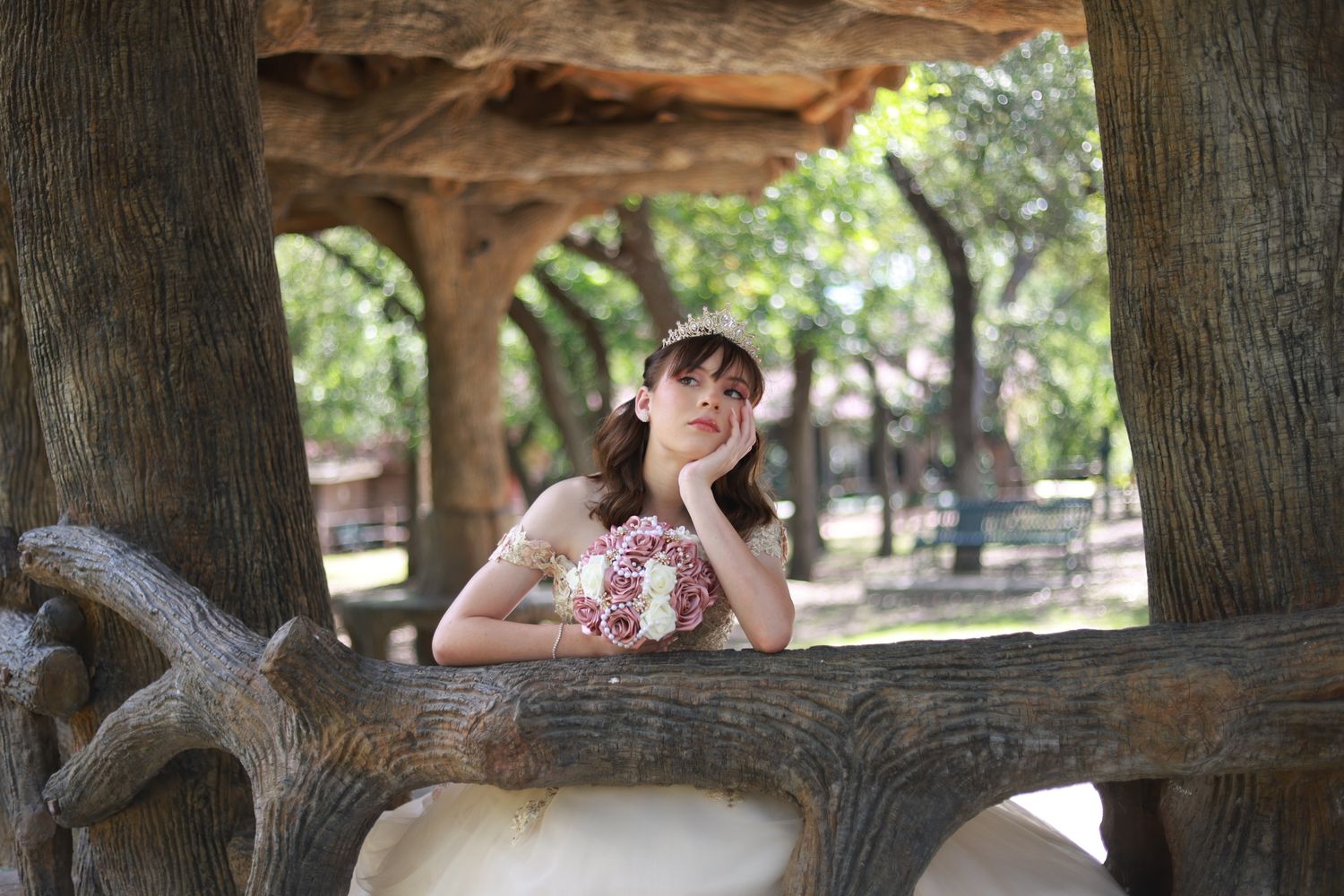 Elegant outdoor portrait session under trees with a tiara and formal gown.