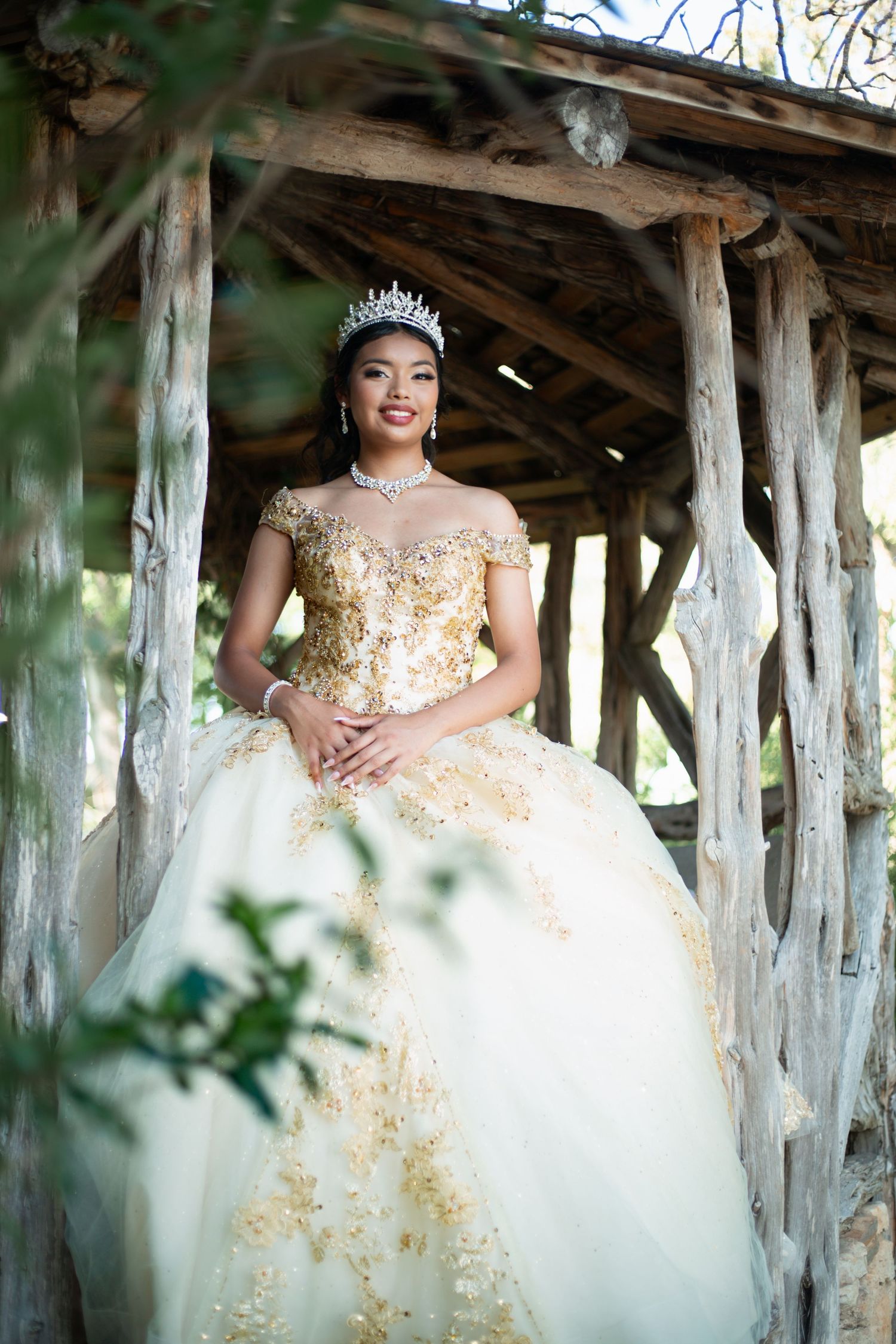 Stunning cream and gold ballgown photographed under rustic wooden pavilion.