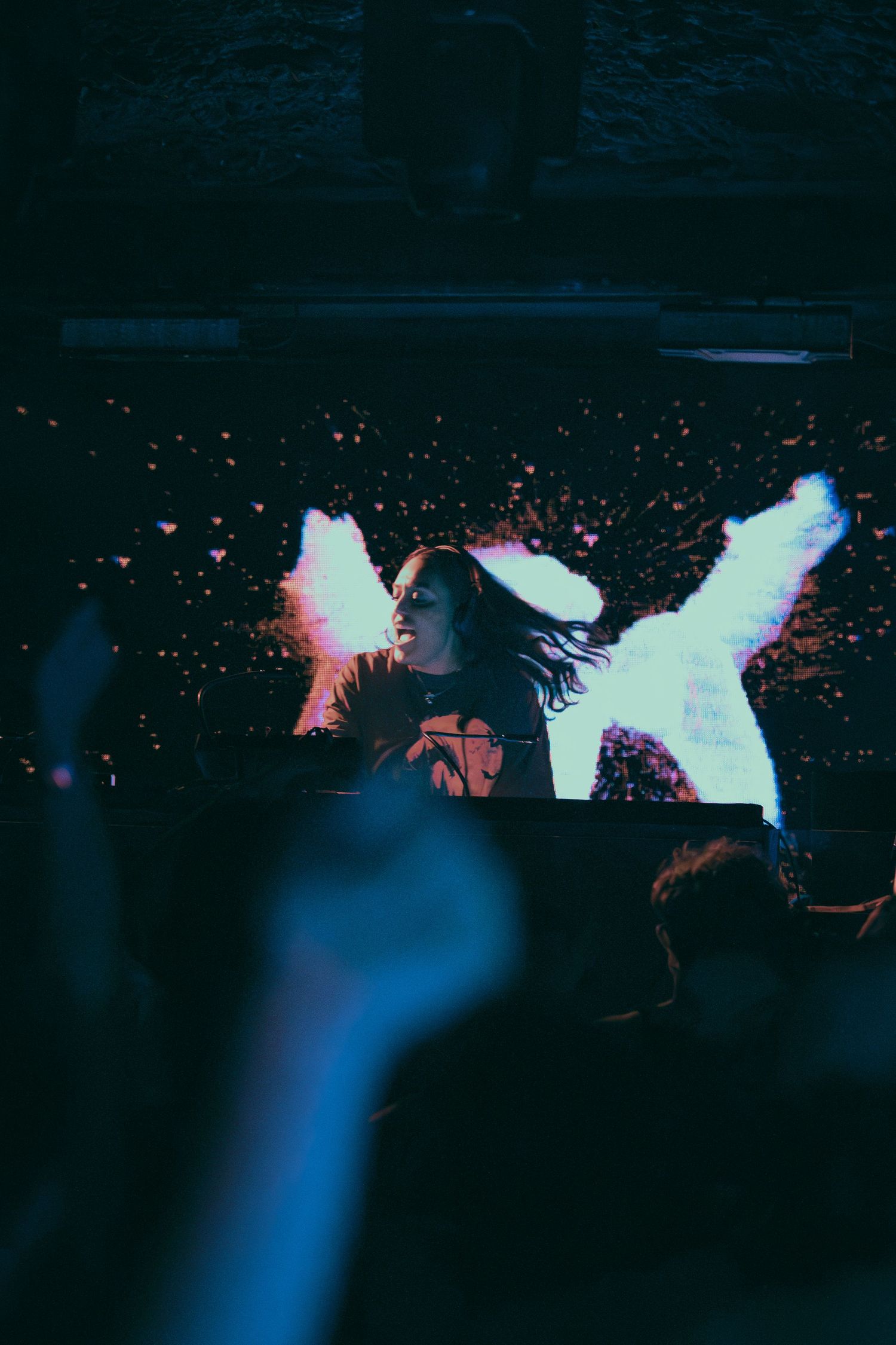 Silhouetted crowd at a concert with blue lighting and scattered light effects overhead.