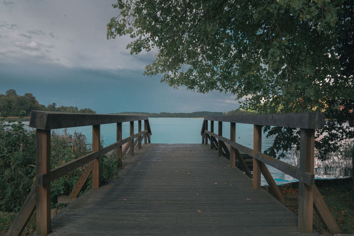 Wooden boardwalk stretches into the distance under blue sky with trees on both sides.