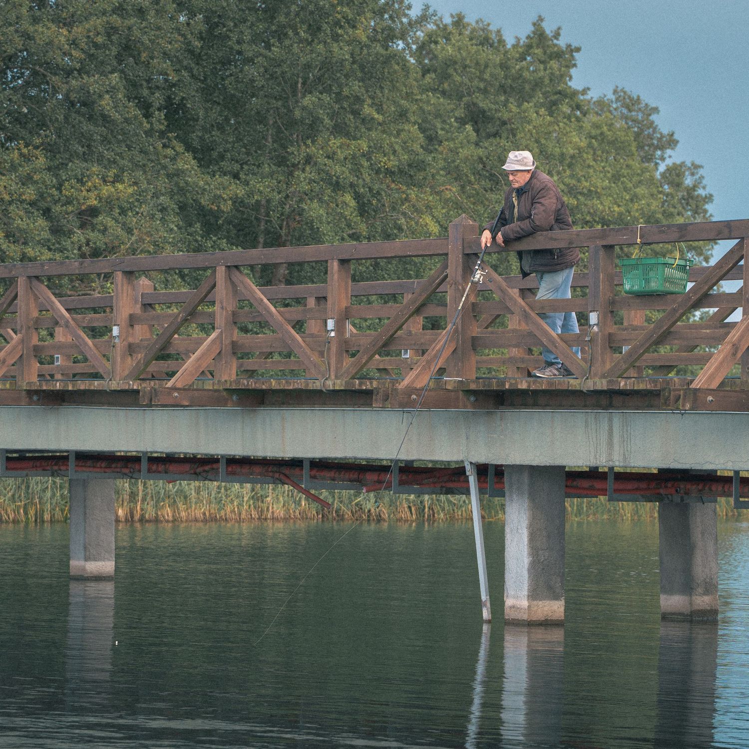 Rustic wooden bridge spans across calm waters with reeds growing along the shoreline.