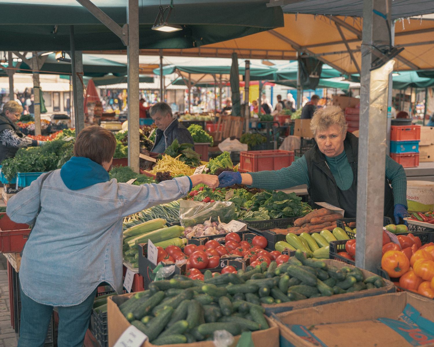 Wide view of a farmers market with various fruits and vegetables for sale.