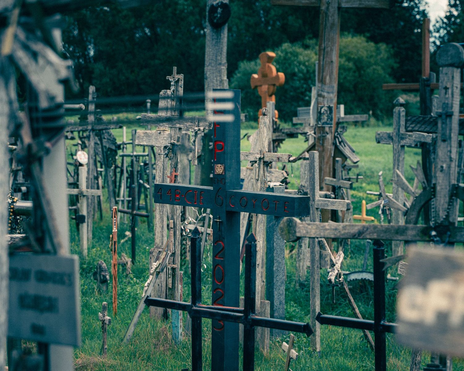Row of weathered crosses and religious monuments in a cemetery with green foliage.