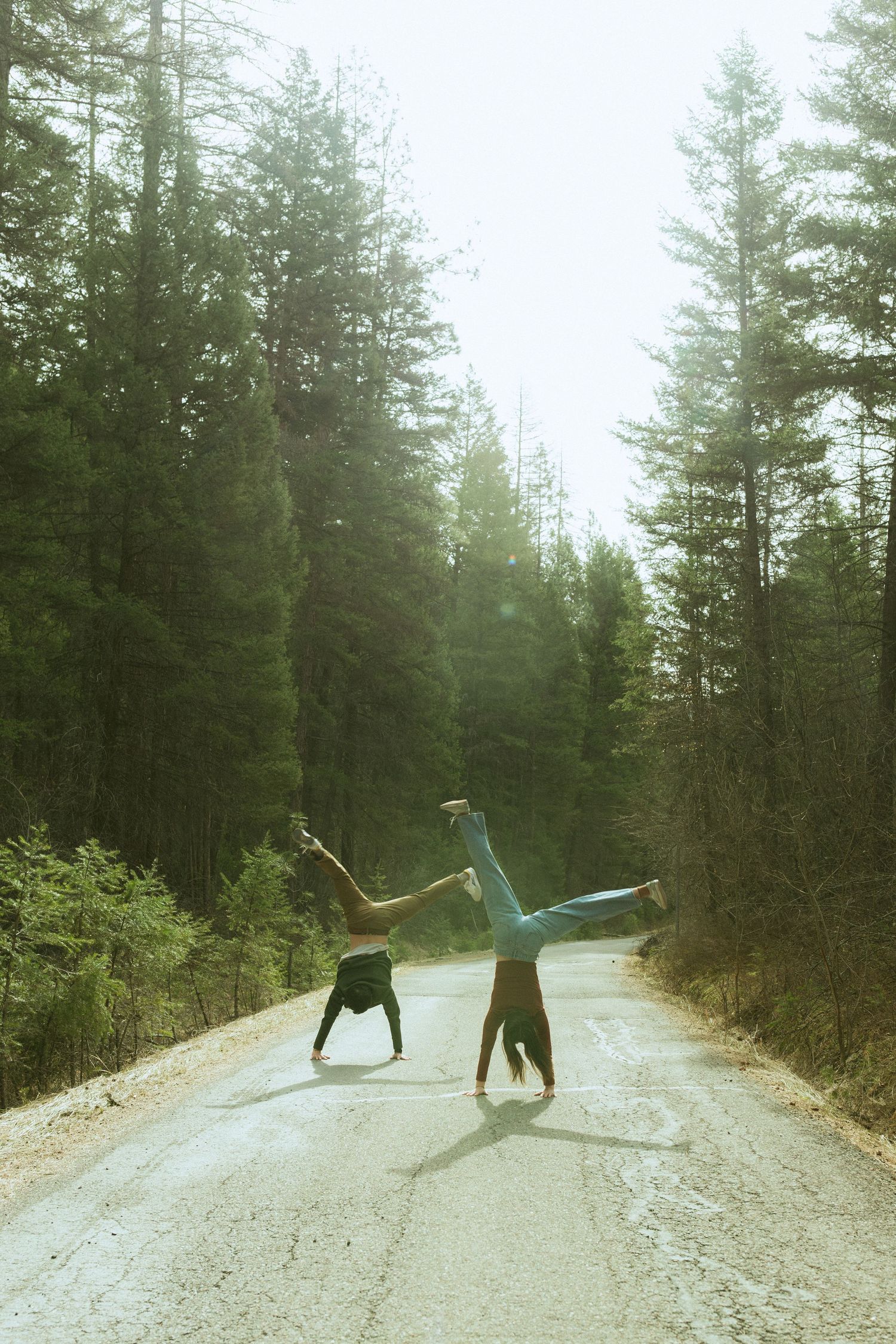 Two people doing handstands on a forest road surrounded by tall pine trees in soft natural light.