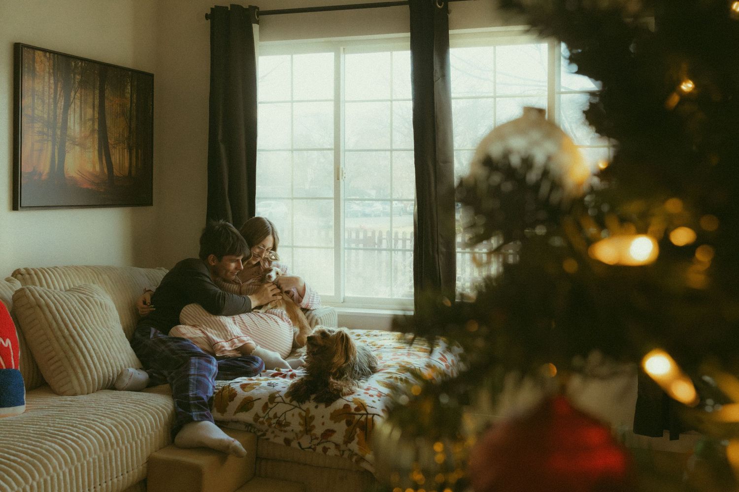 Cozy winter scene with someone reading on a sofa beside a decorated Christmas tree with warm glowing lights.