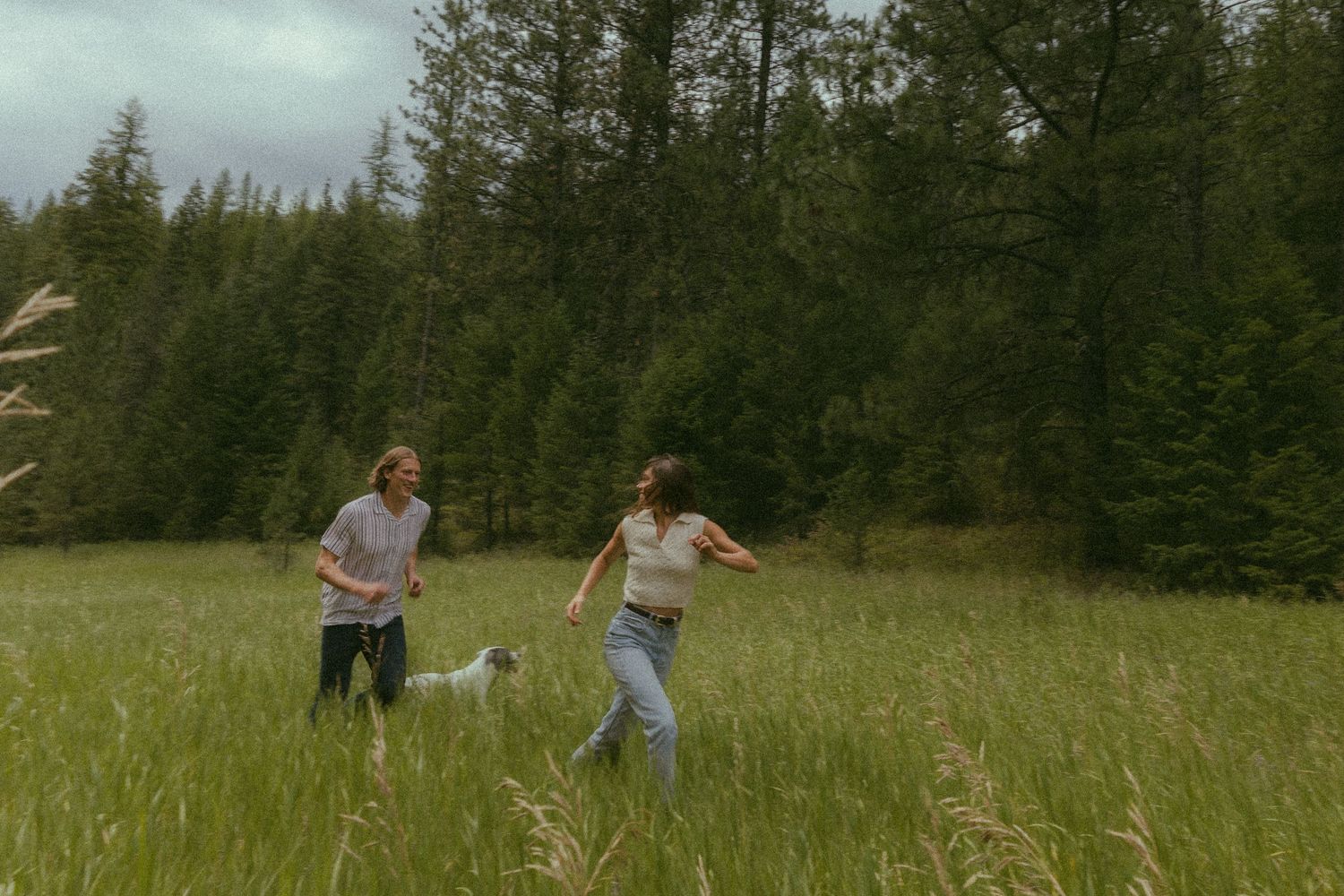 People playing and running through a tall grass meadow surrounded by evergreen forest on a sunny day.