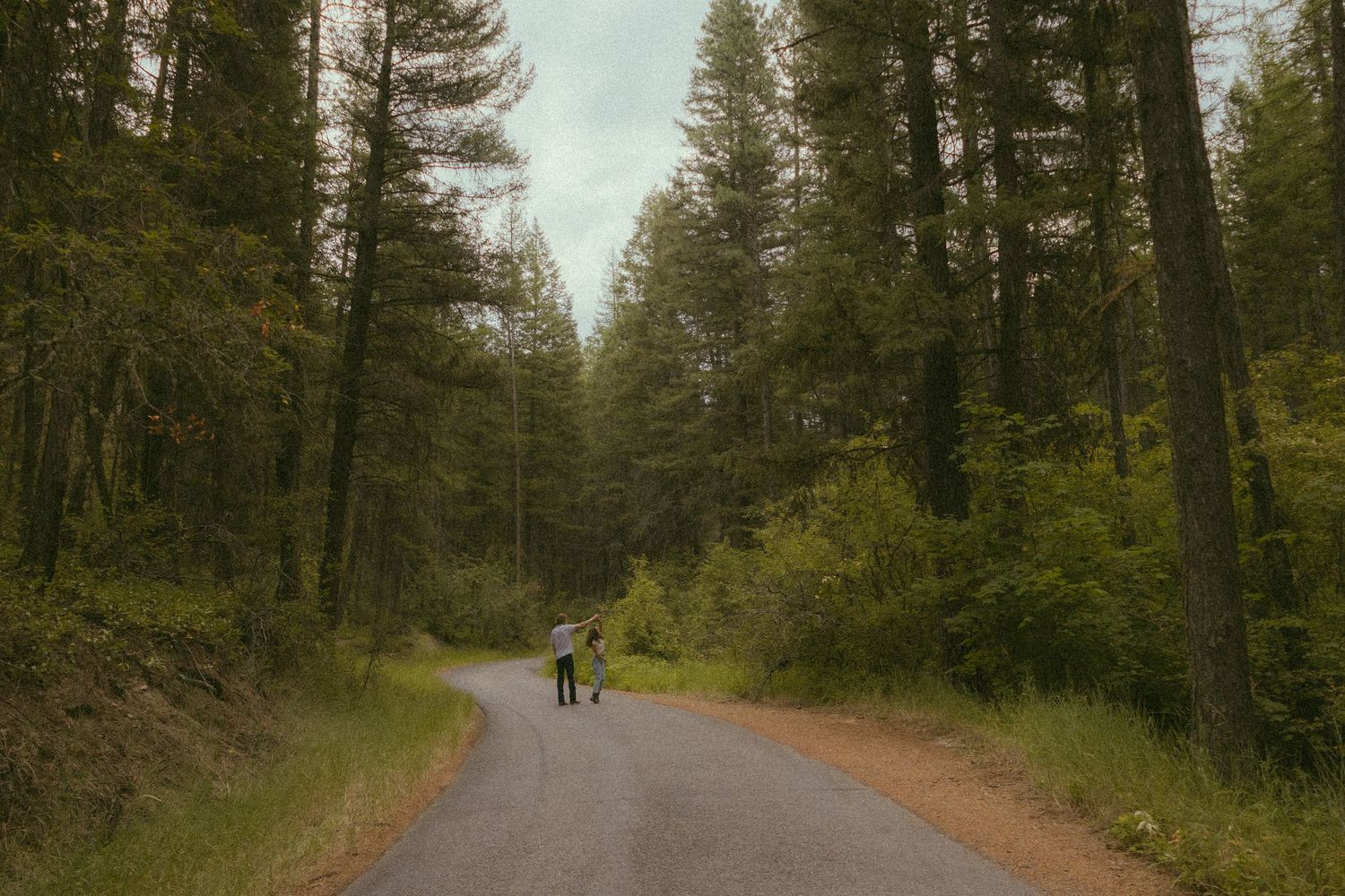 A scenic forest trail winding through tall evergreen trees with a person walking in the distance.
