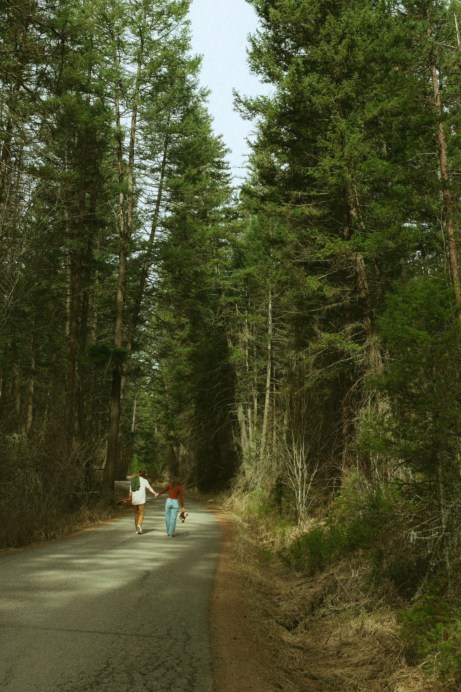 Two people walking along a narrow forest road surrounded by tall green pine trees.