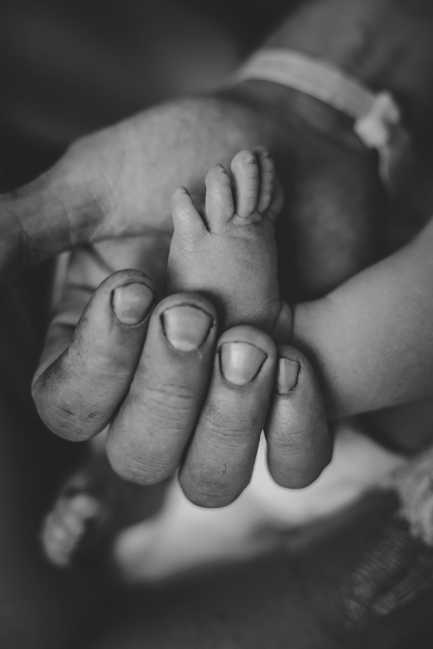 Close-up black and white photo of an adult's hand gently holding a baby's tiny toes.
