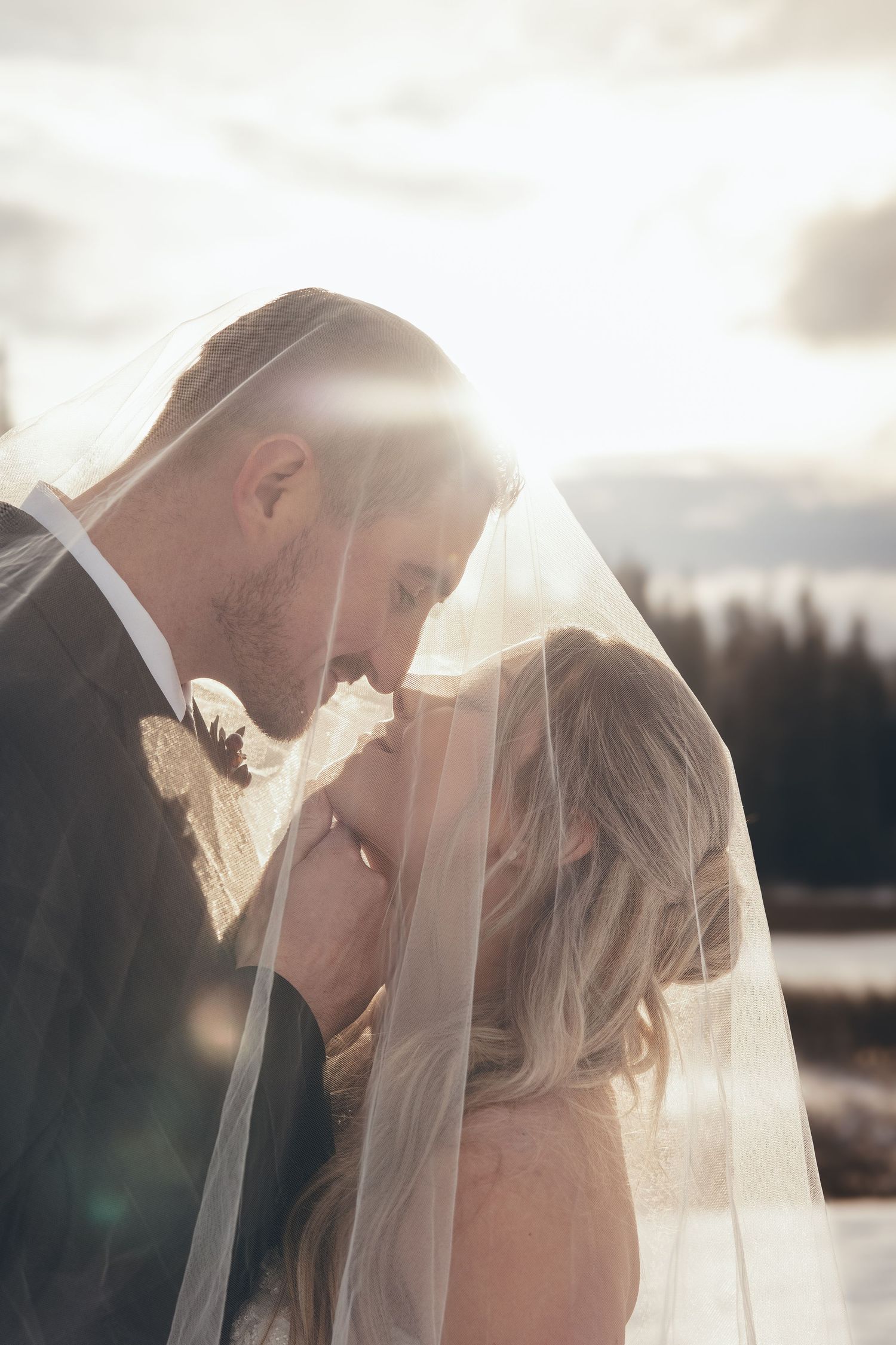 Romantic sunlit wedding portrait with couple sharing tender moment under bridal veil.