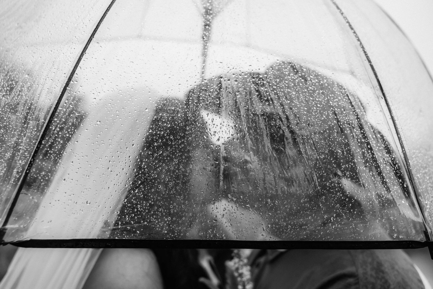 Close-up view of raindrops on clear umbrella surface in black and white.