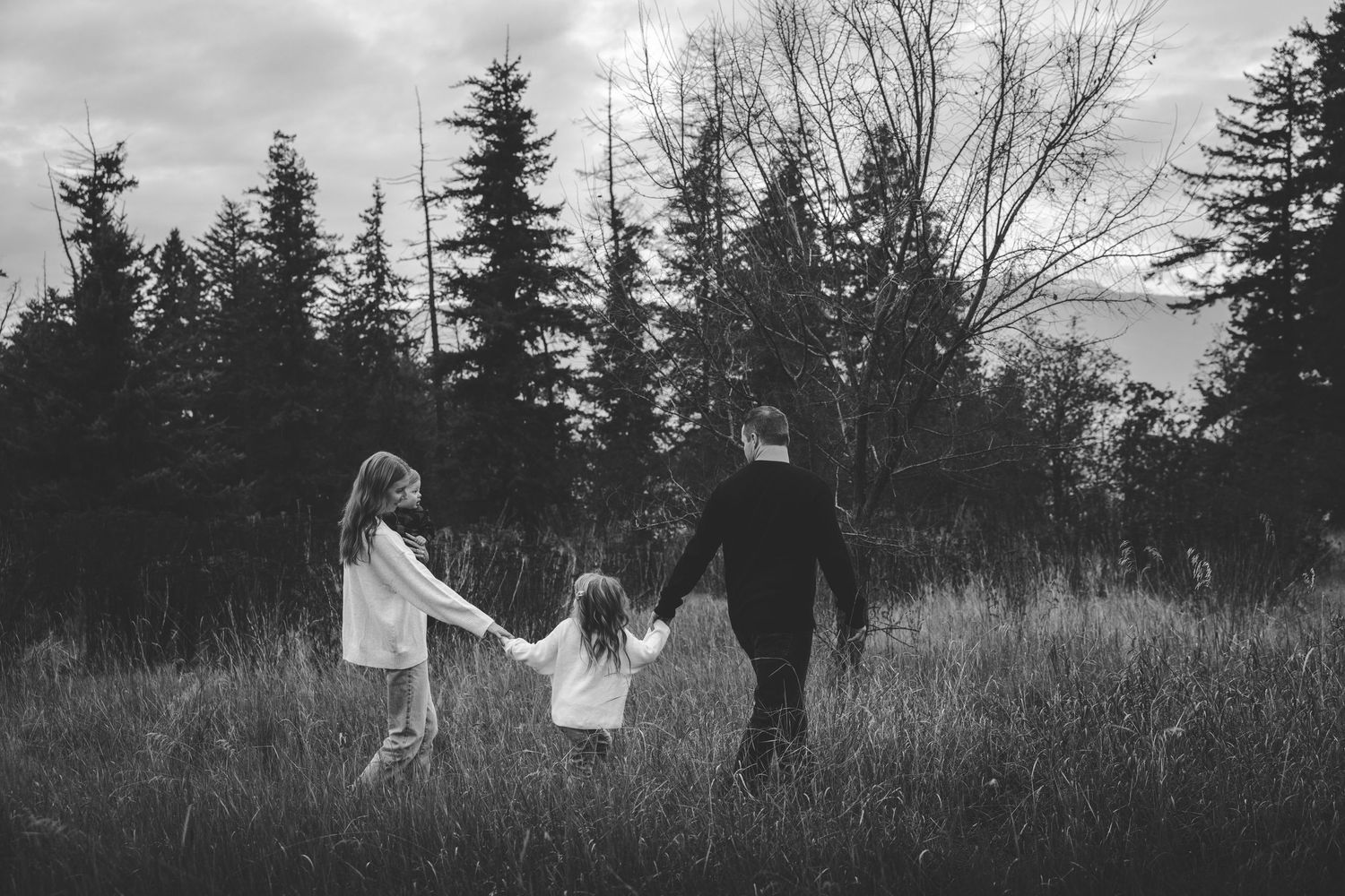 Panoramic view of a family walking through a misty field with evergreen trees in the background.