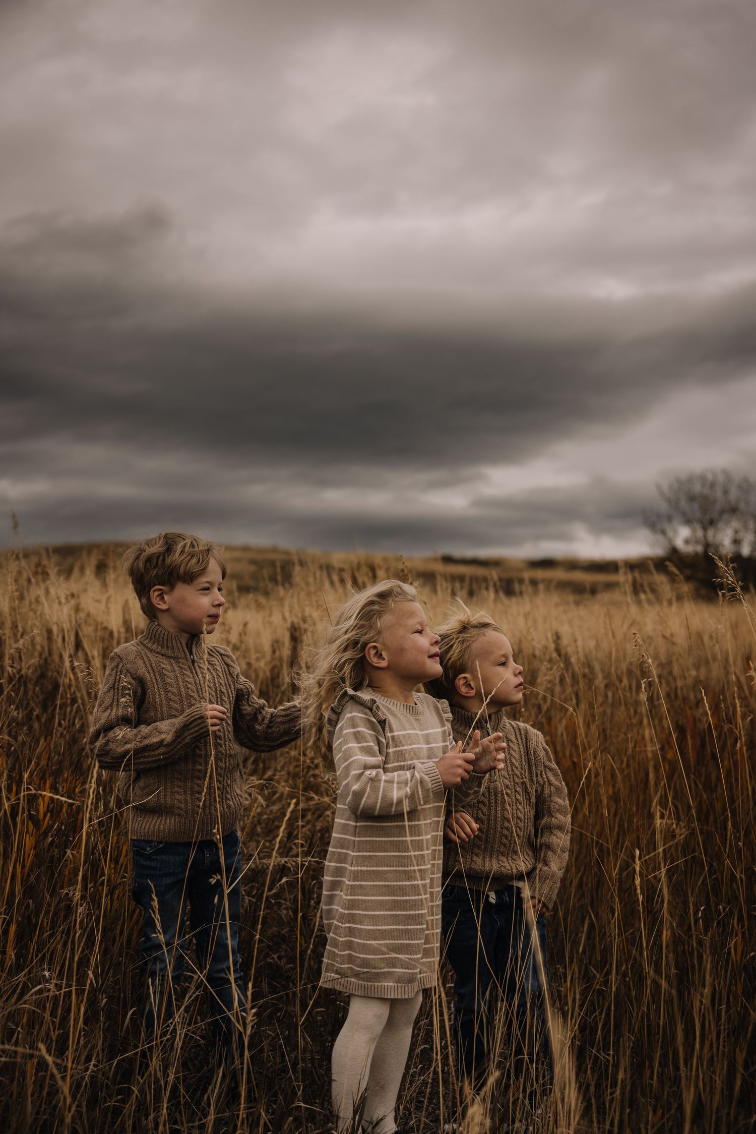 Children playing in tall grass field under dramatic cloudy sky.