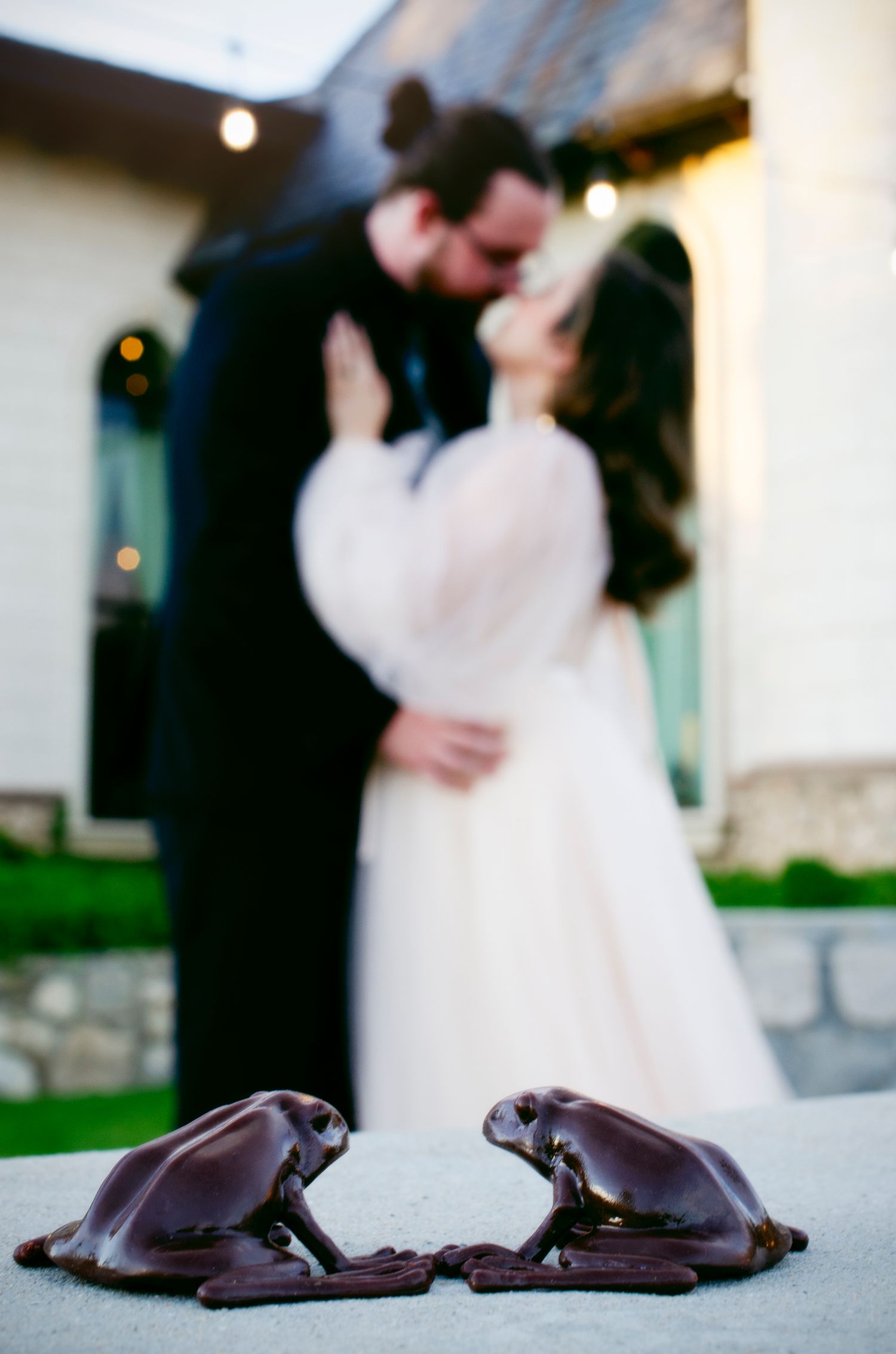 A Hufflepuff and Slytherin share a romantic kiss as two chocolate frogs look on in foreground at a castle with twinkling lights at sunset.