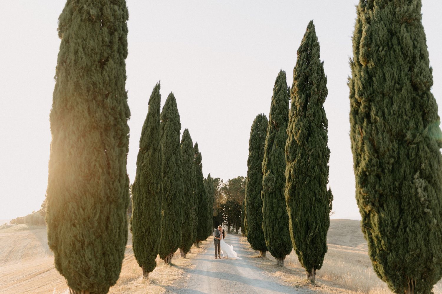 Cyclists ride along scenic cypress tree-lined road in golden sunlight in Tuscany, Italy.