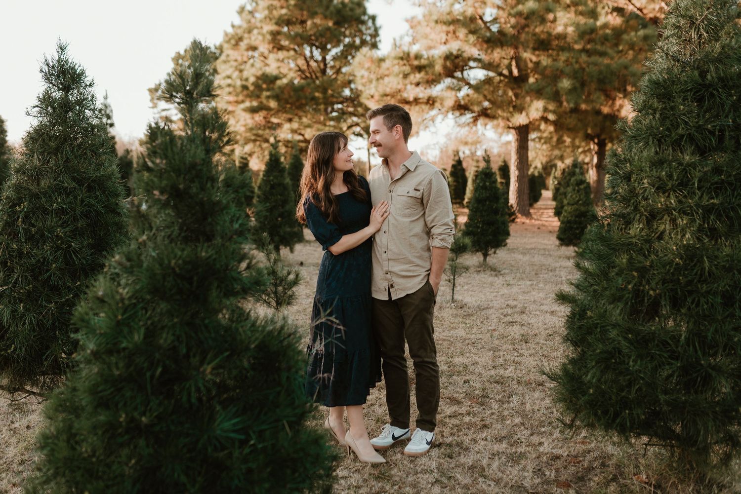 Couple gazes lovingly at each other surrounded by lush Christmas trees at golden hour.