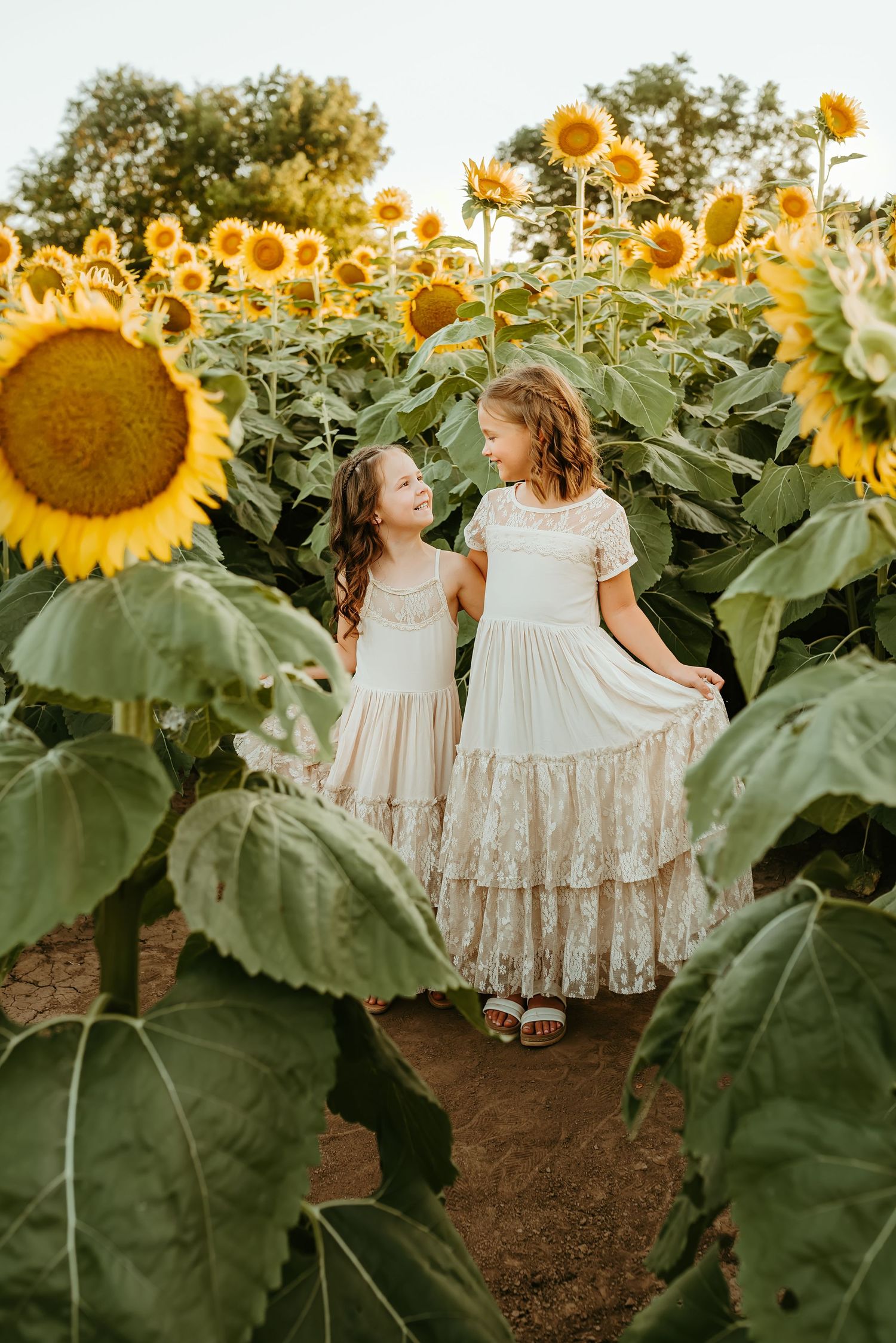 Two girls in matching cream lace dresses smile at each other in a vibrant sunflower field.