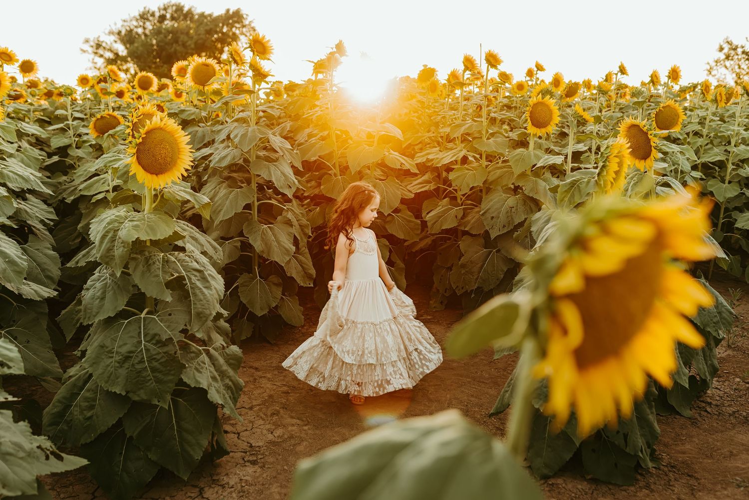 A girl in a white dress twirls in a sunflower field bathed in golden sunset light.