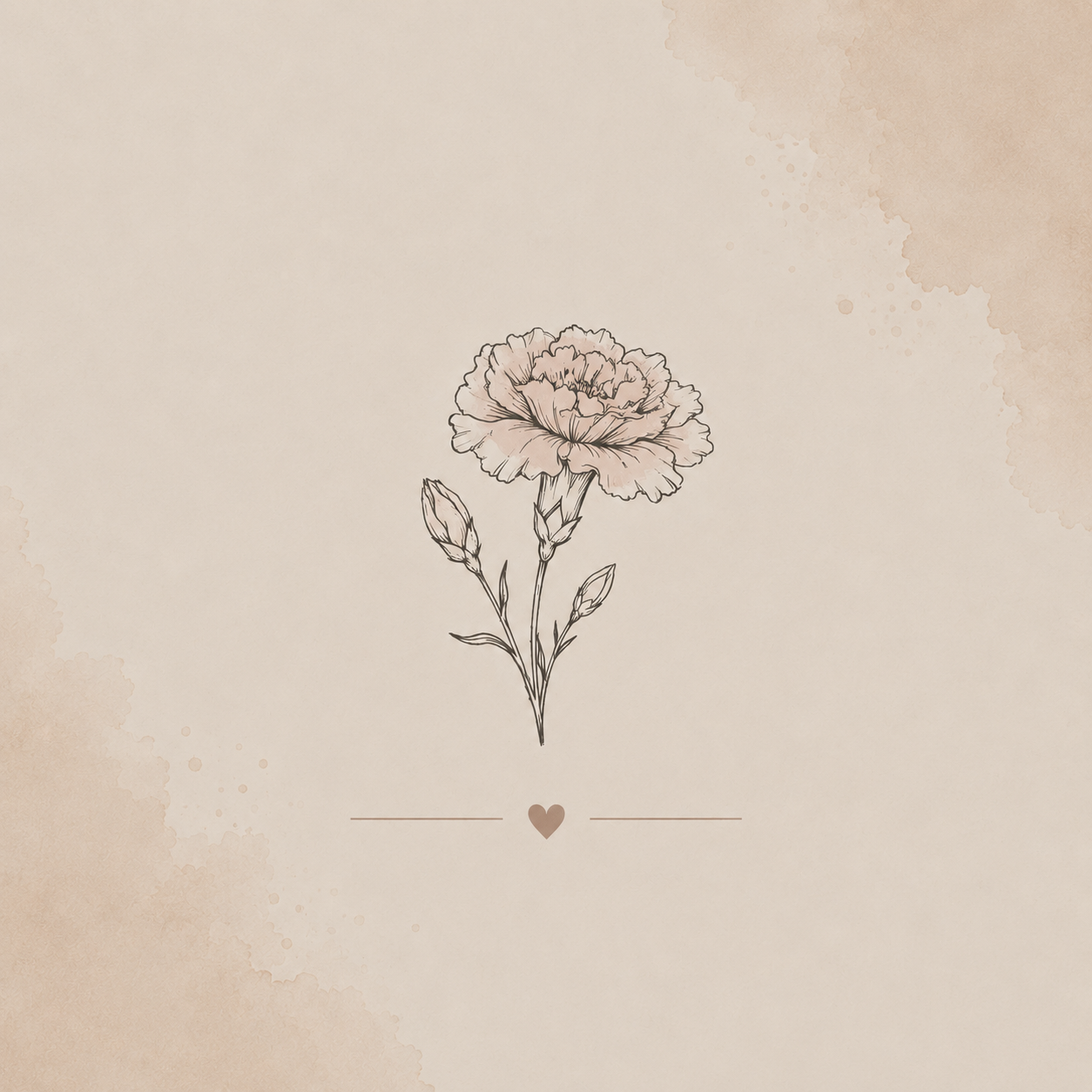 Delicate line art carnation flower with buds on beige watercolor background with small heart accent.