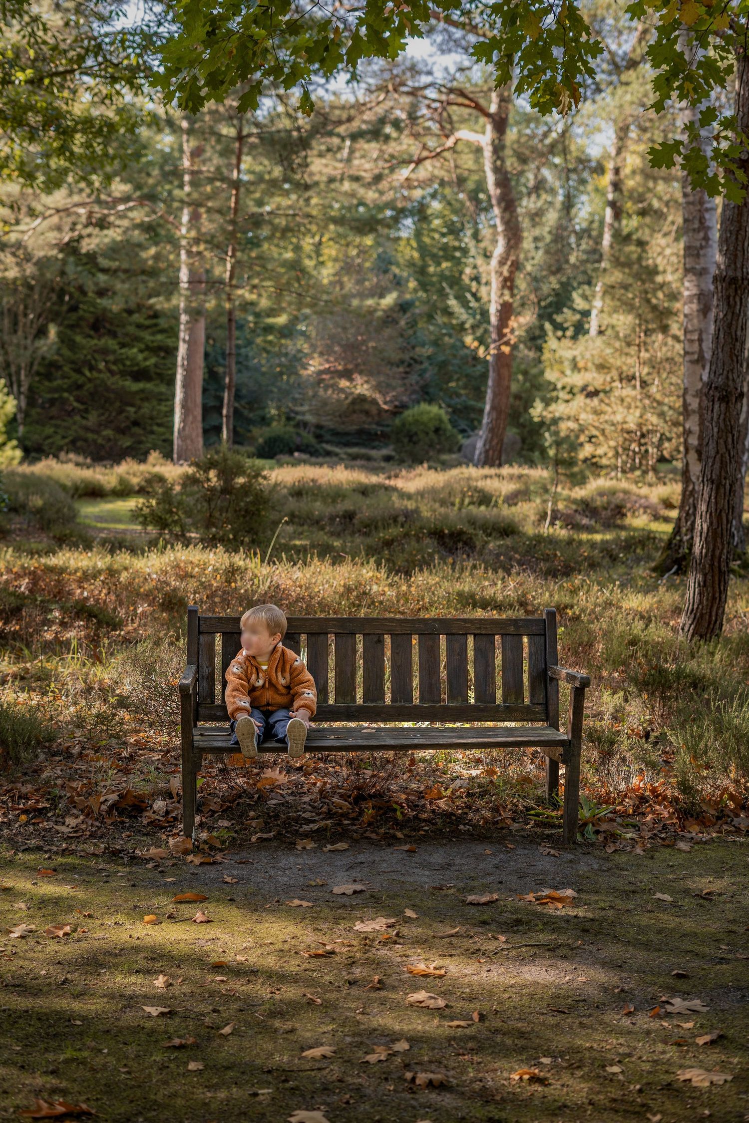 photo d'enfant assis sur un banc en automne