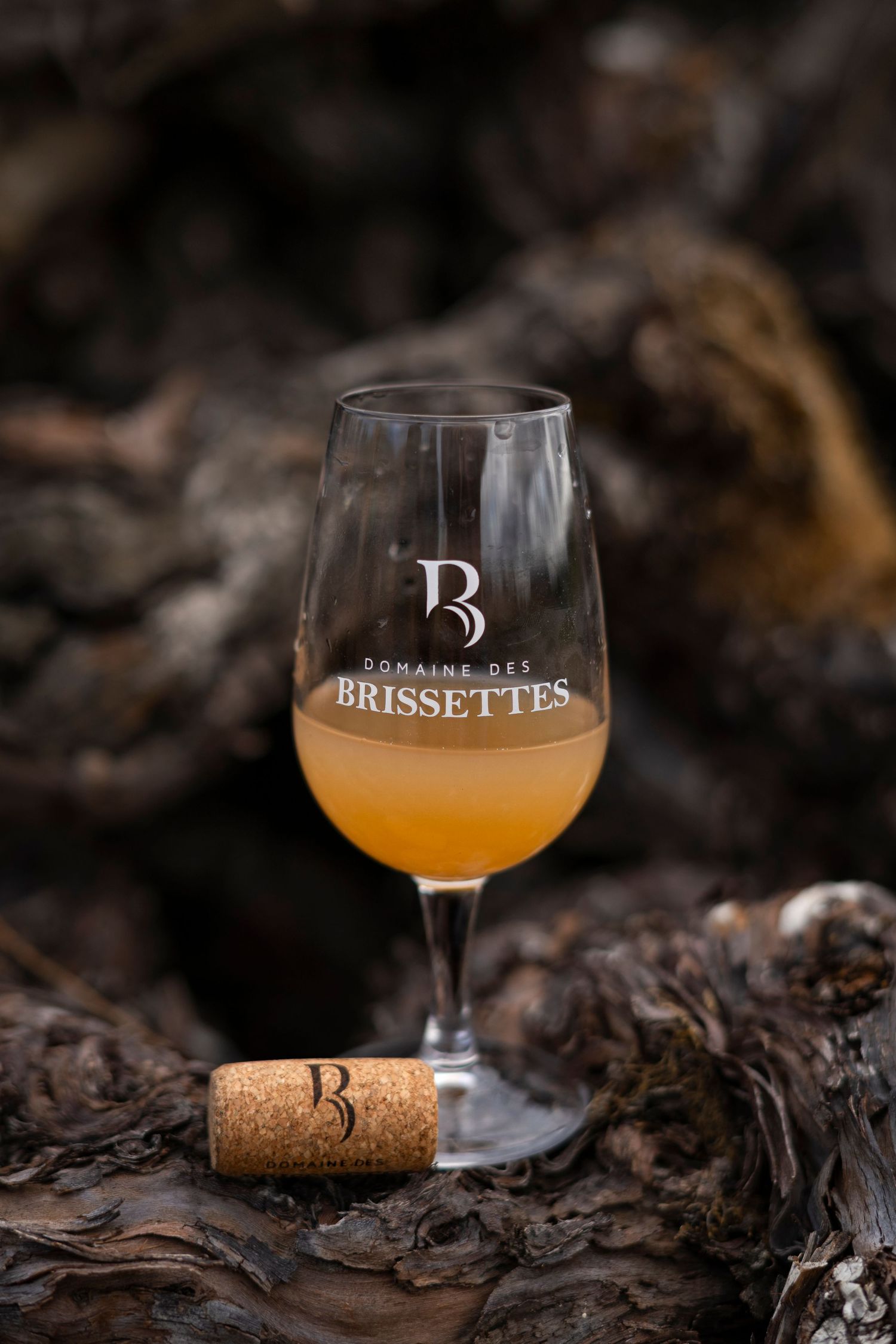photo d'un verre de jus de raisin fraichement pressé