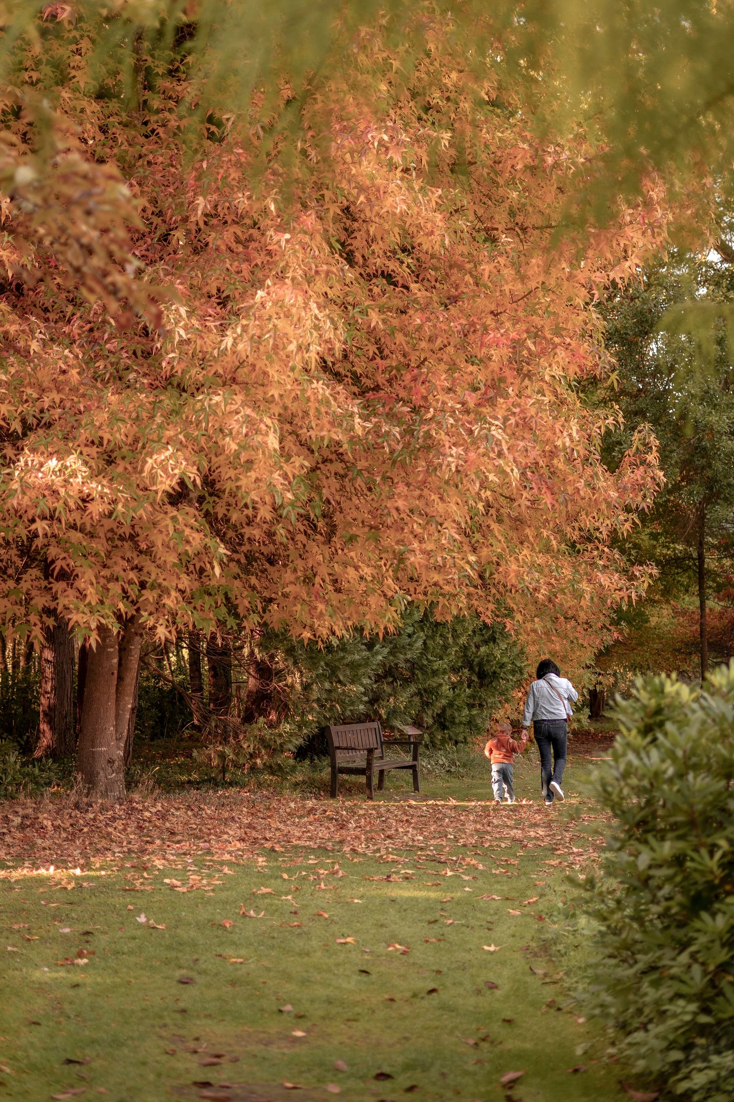 photo de famille en balade en automne