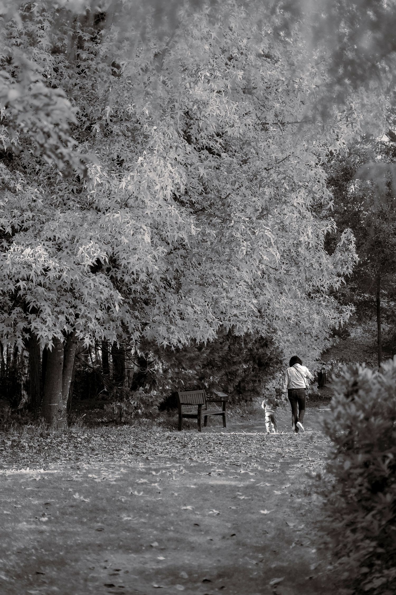 photo de famille se baladant main dans la main, en noir et blanc