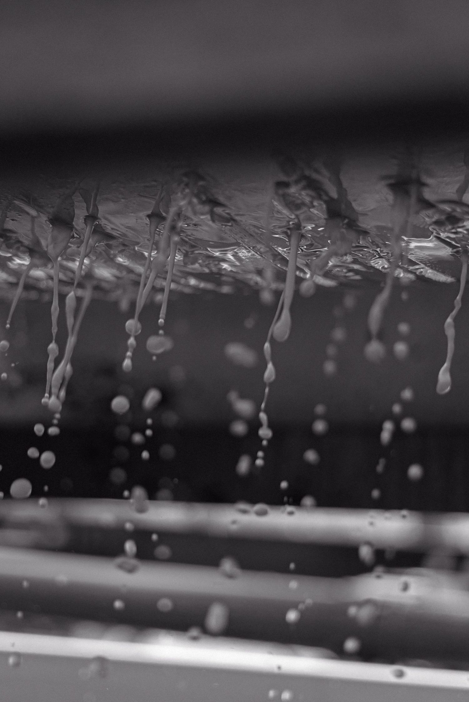 photo en noir et blanc du jus du raisin coulant lors du pressage pendant les vendanges