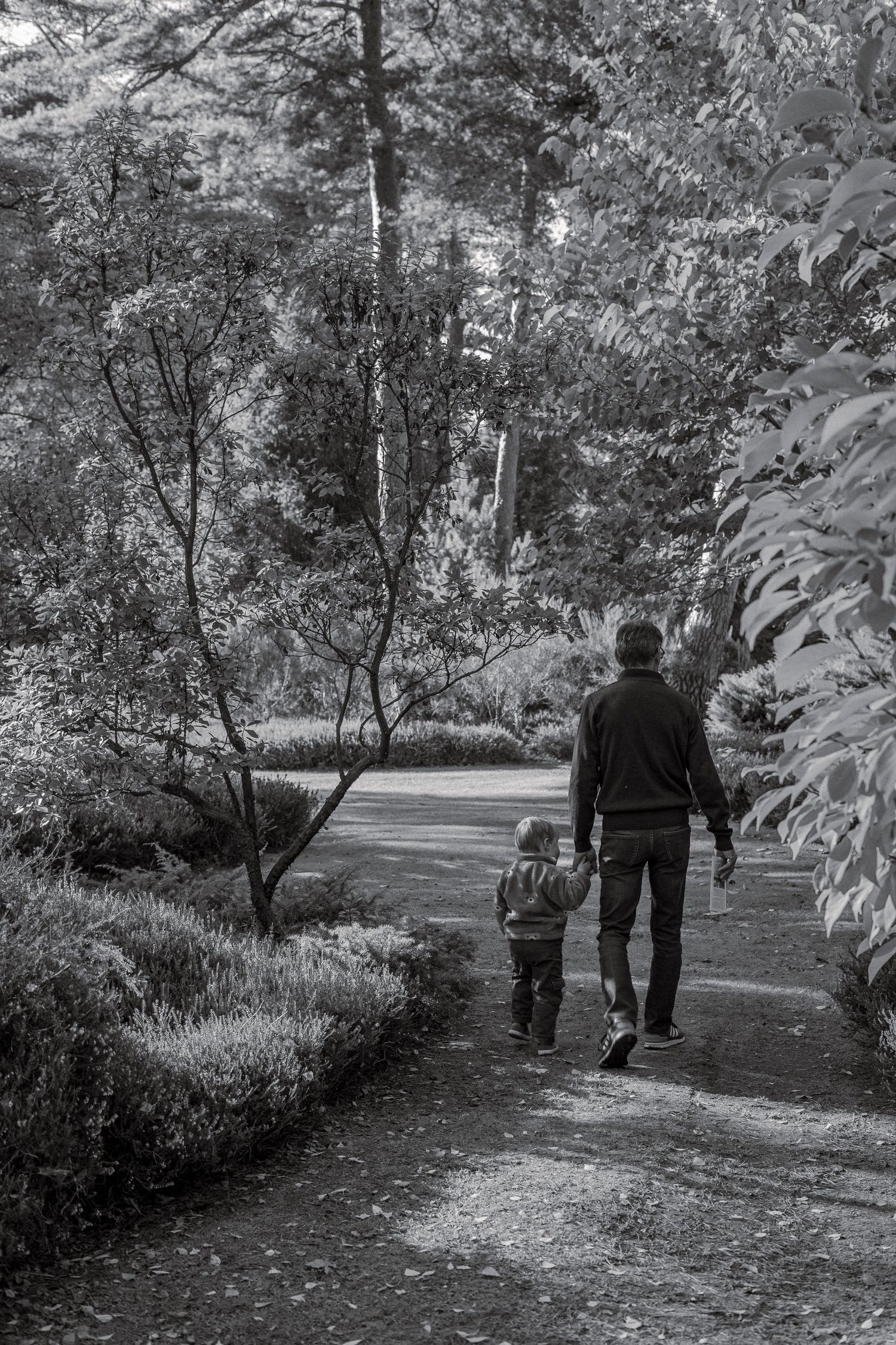 photo de famille en noir et blanc en automne