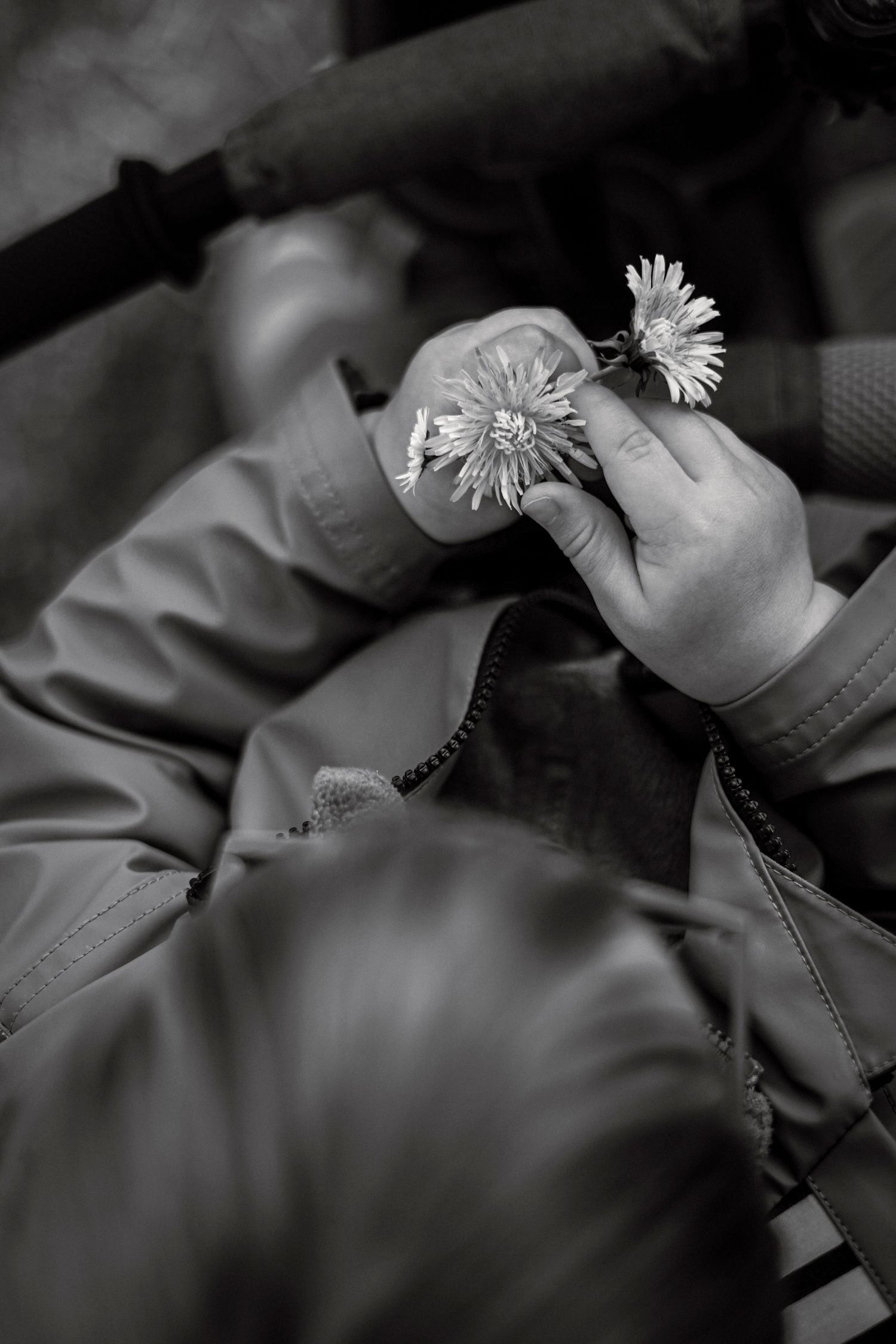 photo d'enfant tenant une fleur dans ses mains, en noir et blanc