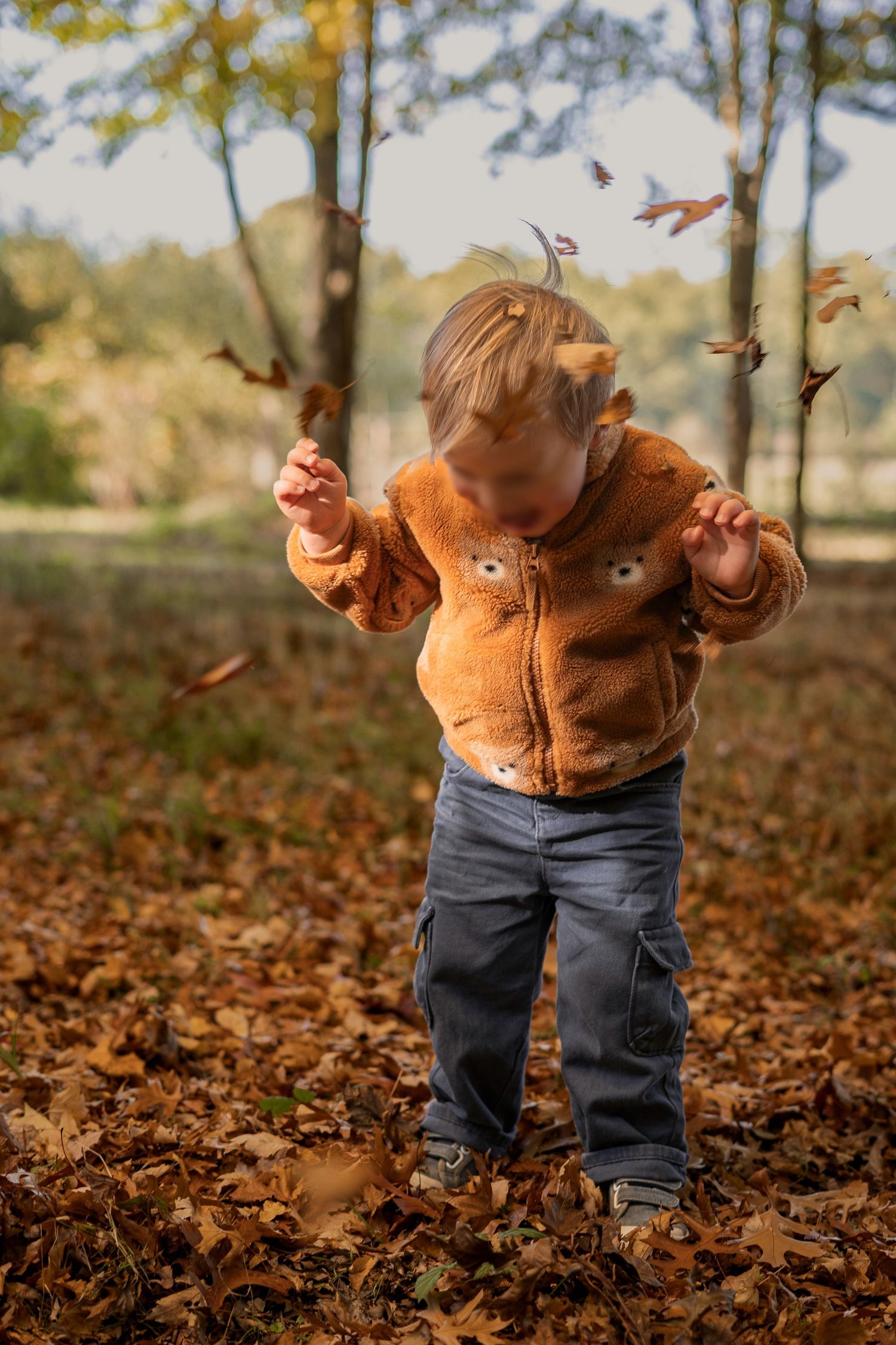 photo d'enfant jouant dans les feuilles aux couleurs d'automne