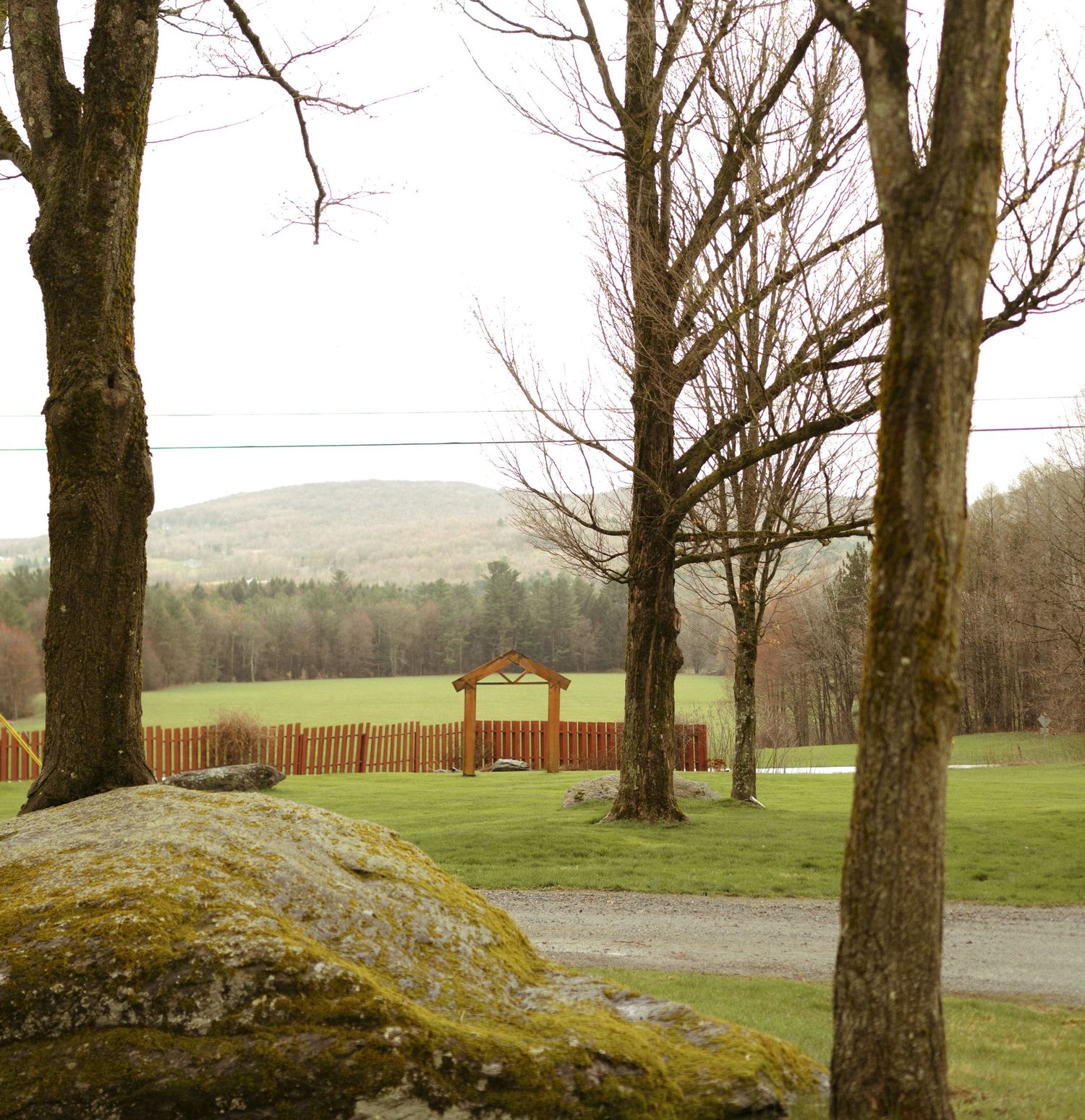 Bare winter trees line a gravel path with green fields and distant mountains visible in the misty landscape.