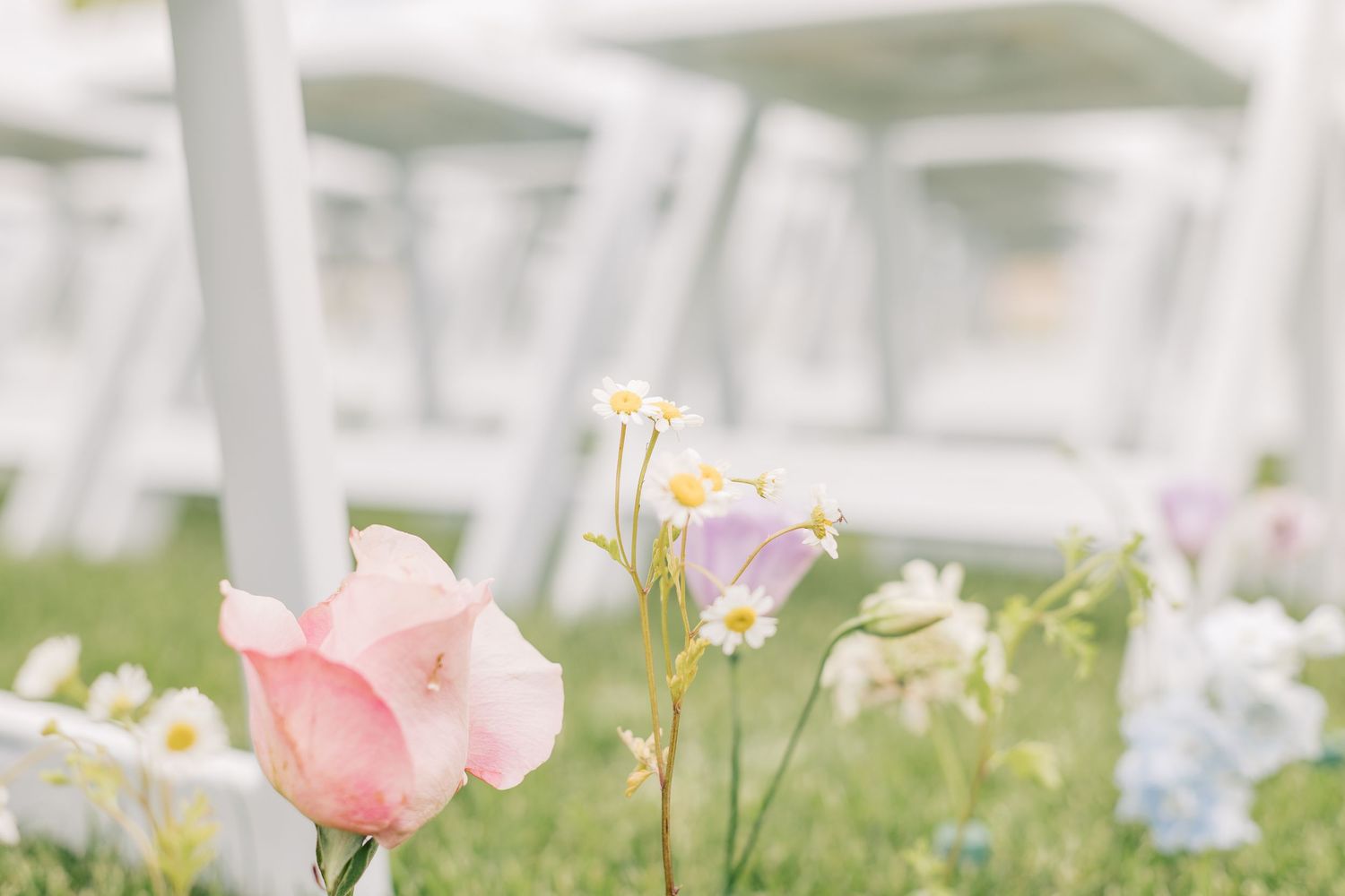 Pink and blue flowers bloom in a garden with blurred background creating a dreamy spring atmosphere.