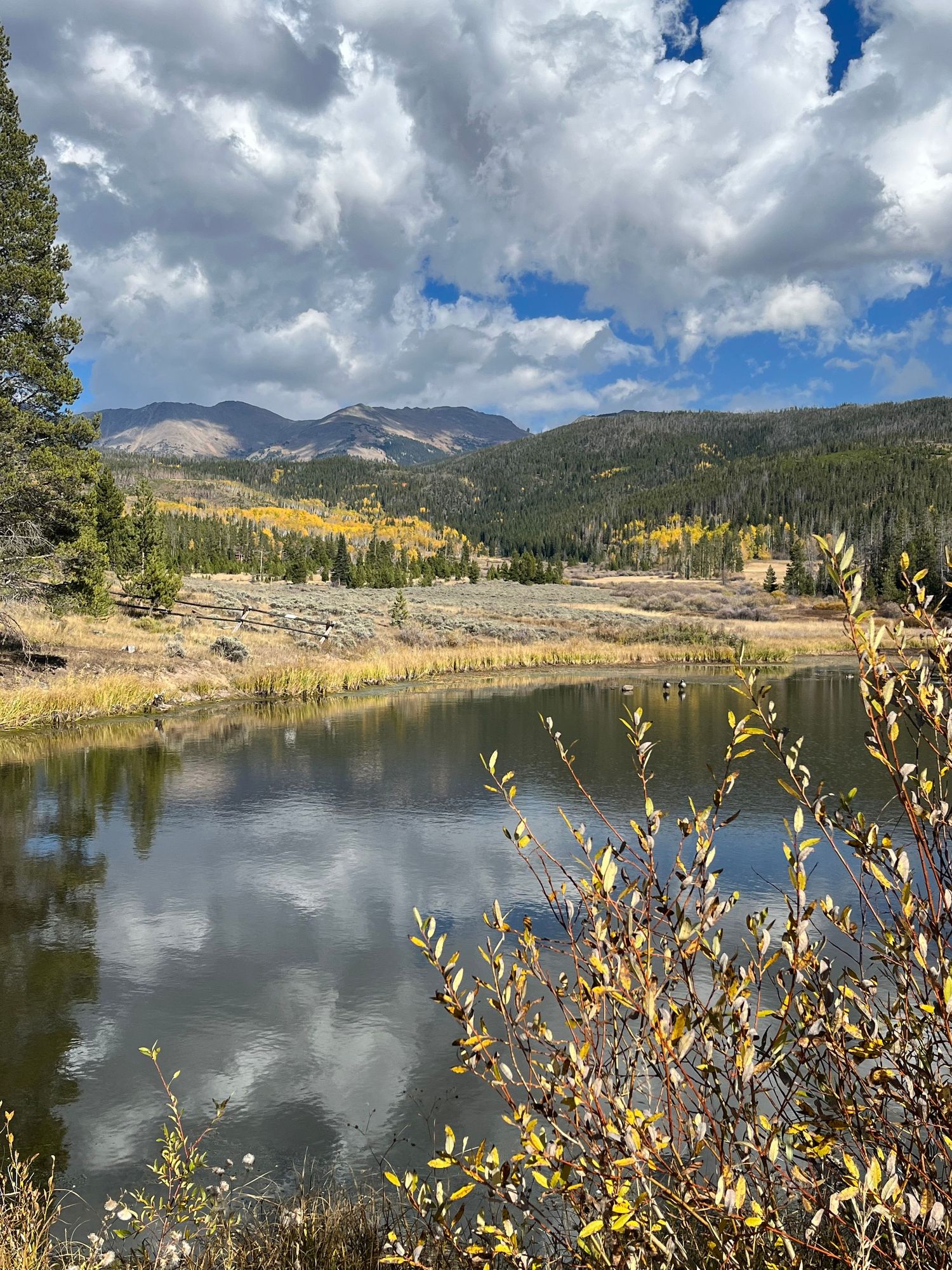 A scenic mountain lake surrounded by autumn foliage and dramatic cloudy skies reflects the rugged landscape. James Peak Wilderness.
