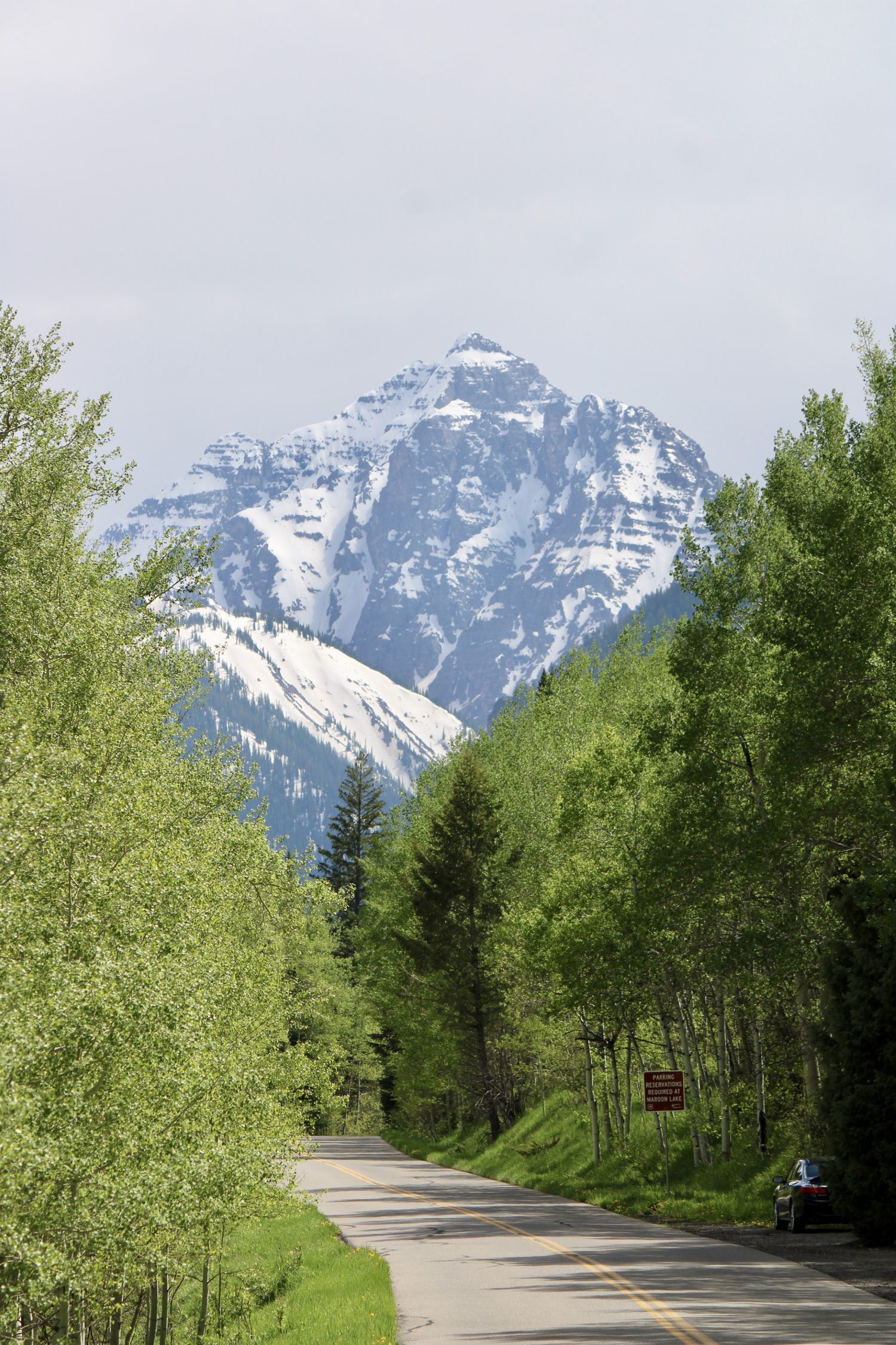 Tree-lined mountain road leading toward snow-capped peaks under cloudy skies.