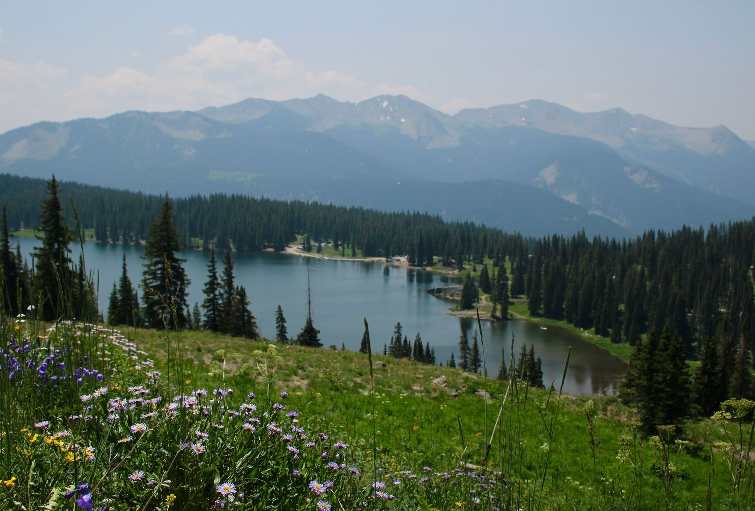 Panoramic mountain landscape with wildflower meadow overlooking a pristine alpine lake surrounded by evergreen forest.