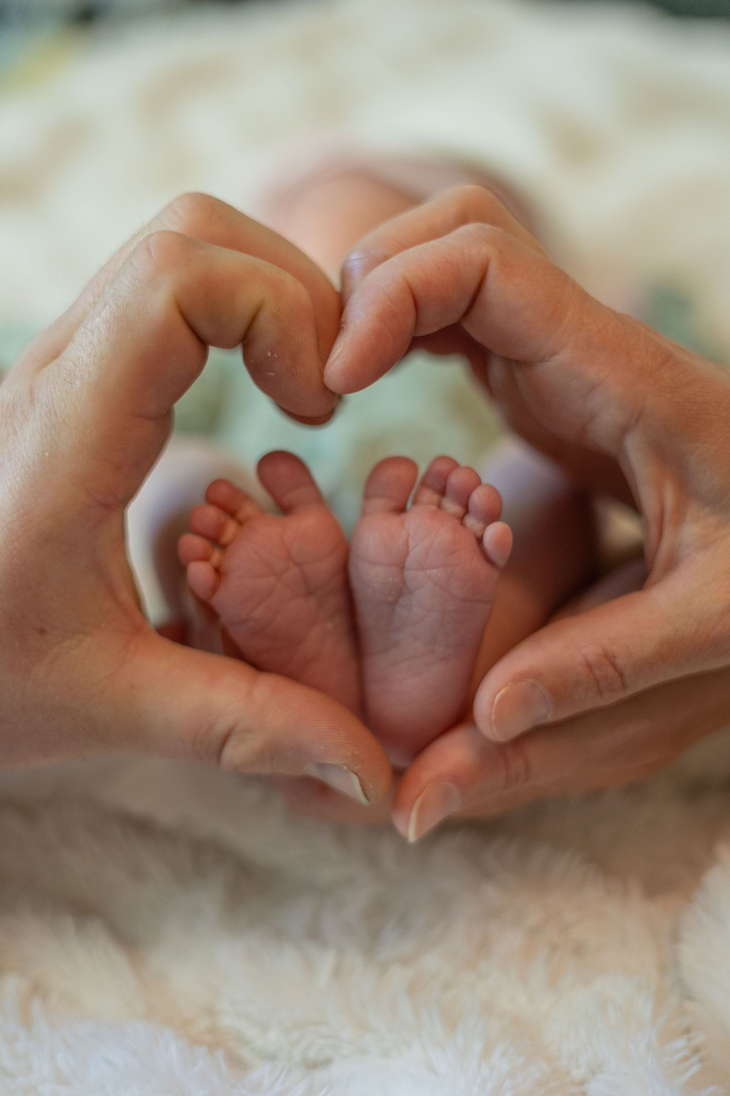 Hands forming a heart shape around tiny newborn baby feet against a white blanket background.
