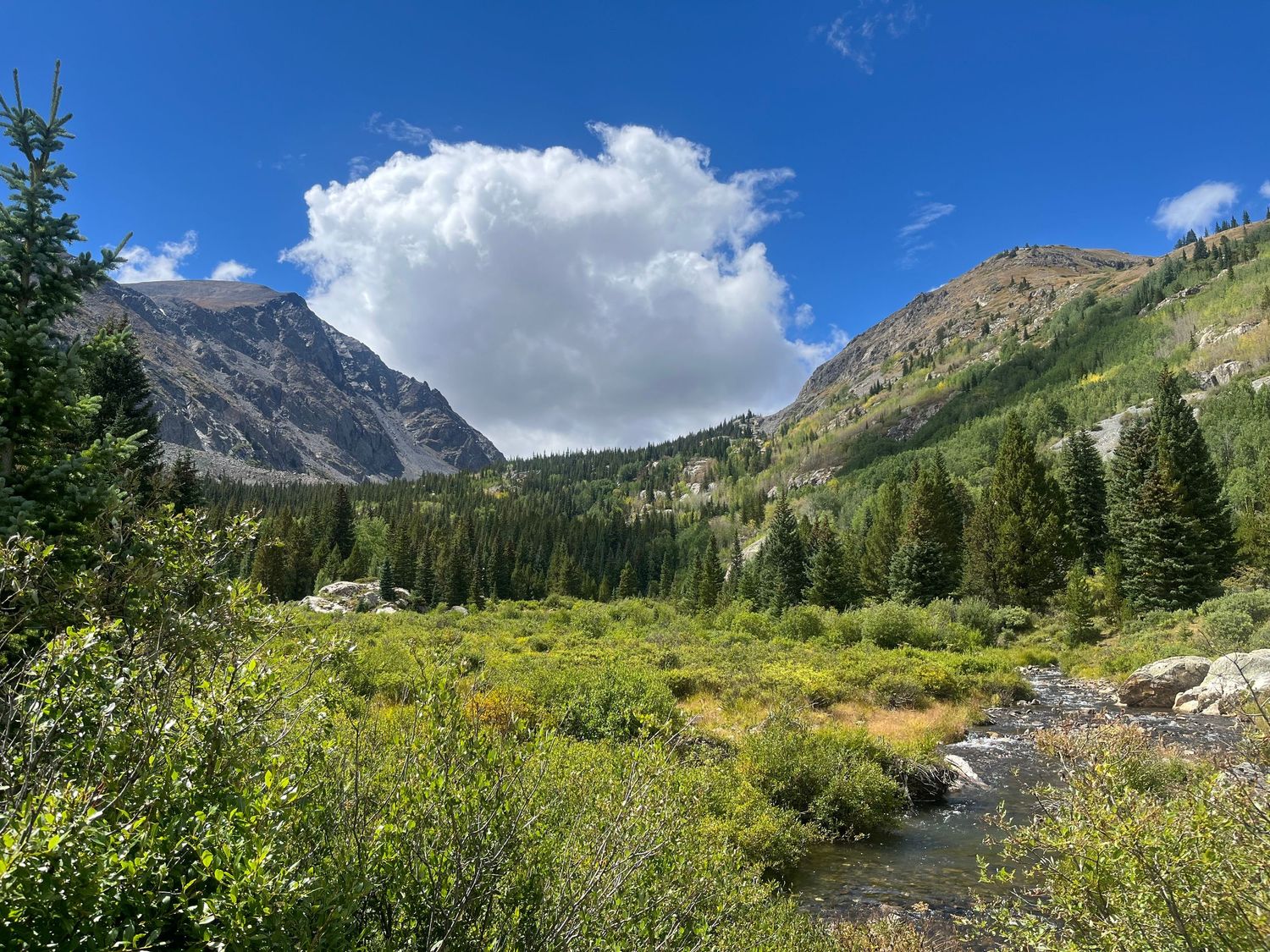 A winding mountain stream flows through a lush alpine valley surrounded by towering peaks and evergreen forest. McCullough Gulch.
