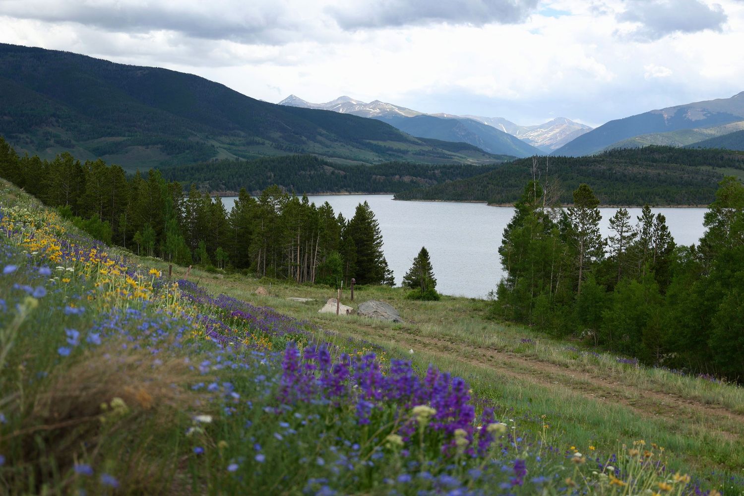 Mountain lake surrounded by evergreen forest and colorful wildflowers blooming on a hillside under cloudy skies.