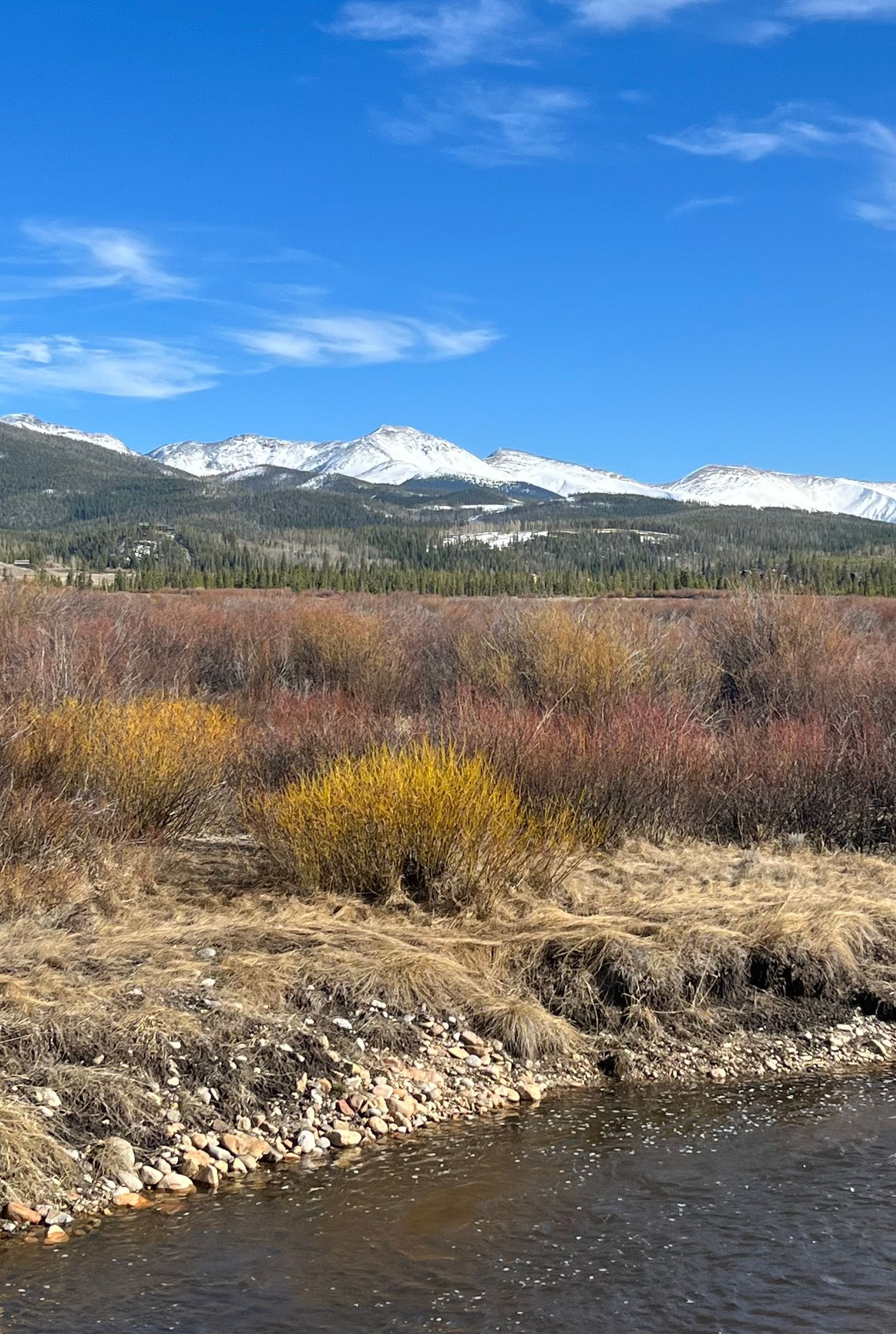 Snow-capped mountain peaks rise above a river bank with golden brush and vegetation under bright blue skies. Winter Park.