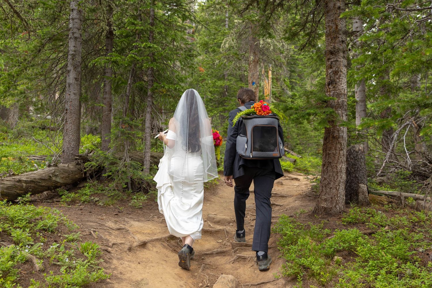 Bride and groom walking hand in hand along a forest trail in wedding attire, surrounded by tall pine trees.