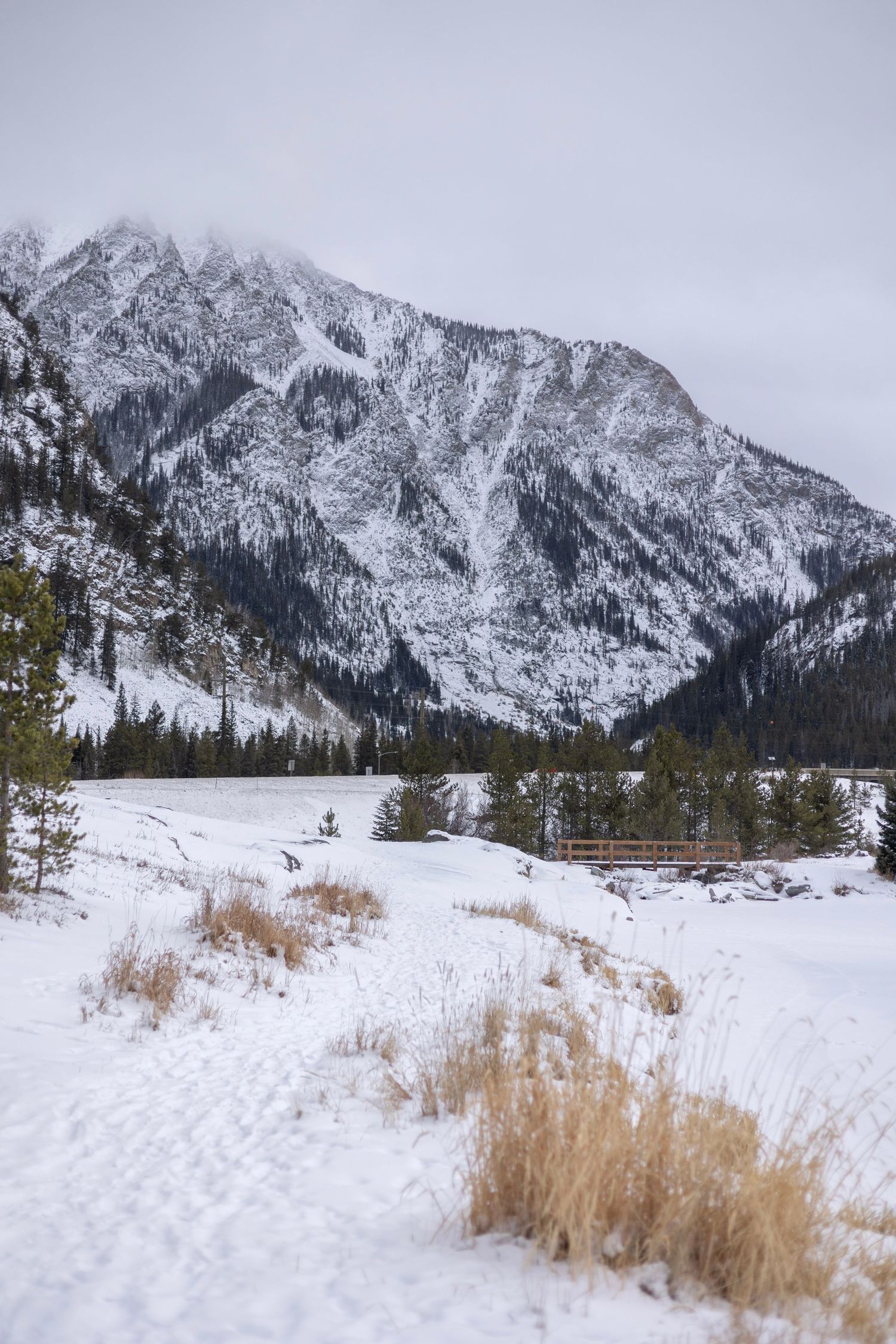 Snow-covered mountain peaks rise above golden winter grasses in a panoramic winter landscape. Officer's Gulch.