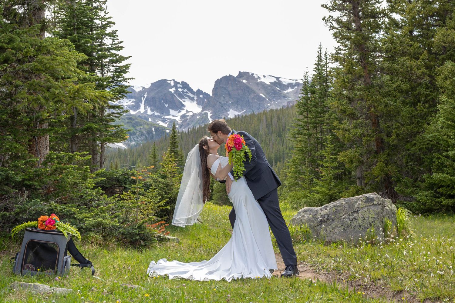 Bride and groom share a kiss in a mountain meadow surrounded by pine trees and snow-capped peaks during outdoor wedding.