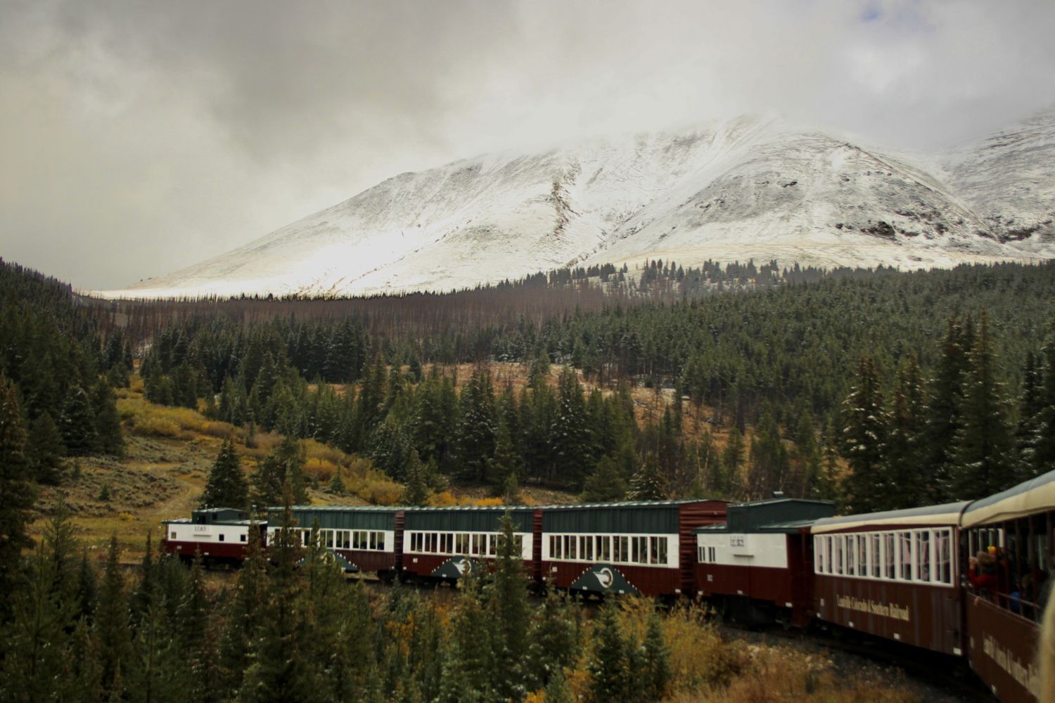 A scenic passenger train winds through a dense evergreen forest with snow-capped mountains under cloudy skies.