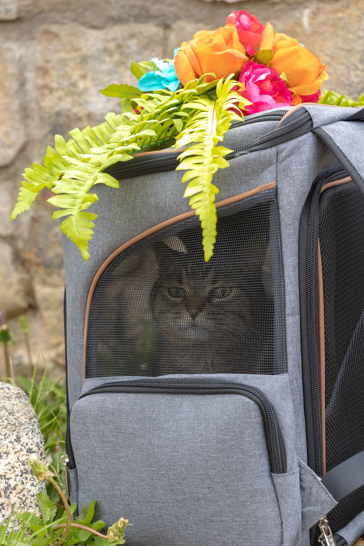 A tabby cat peers through the mesh window of a gray pet carrier backpack decorated with colorful flowers and ferns.