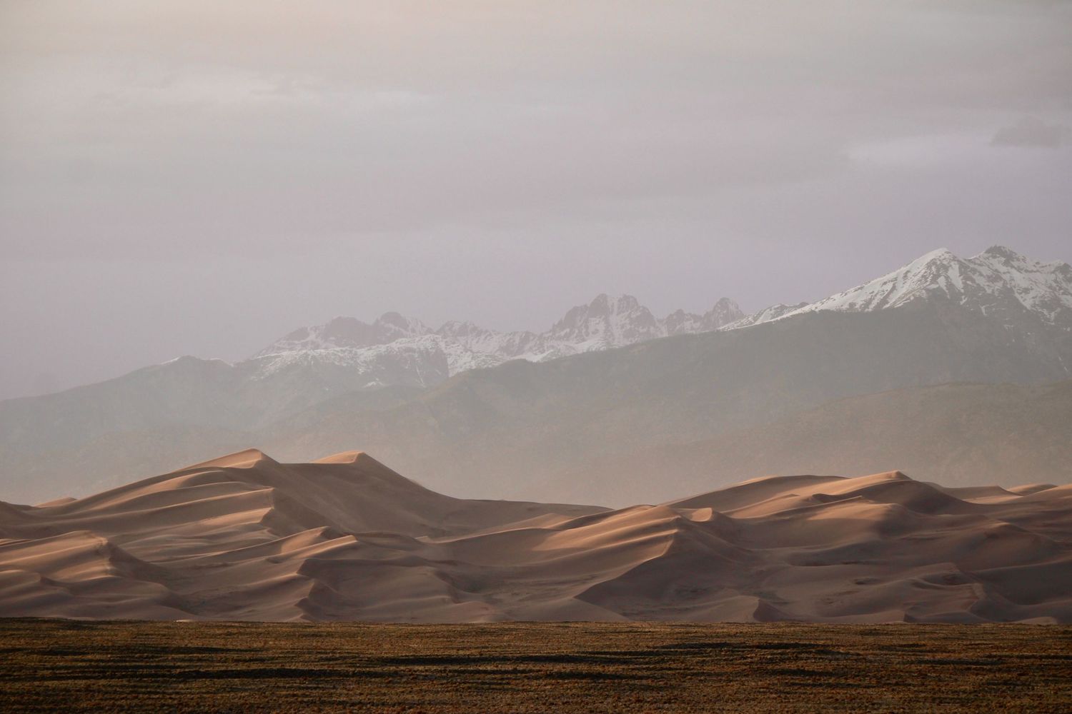 Rolling sand dunes stretch across the desert landscape with snow-capped mountains in the distance.