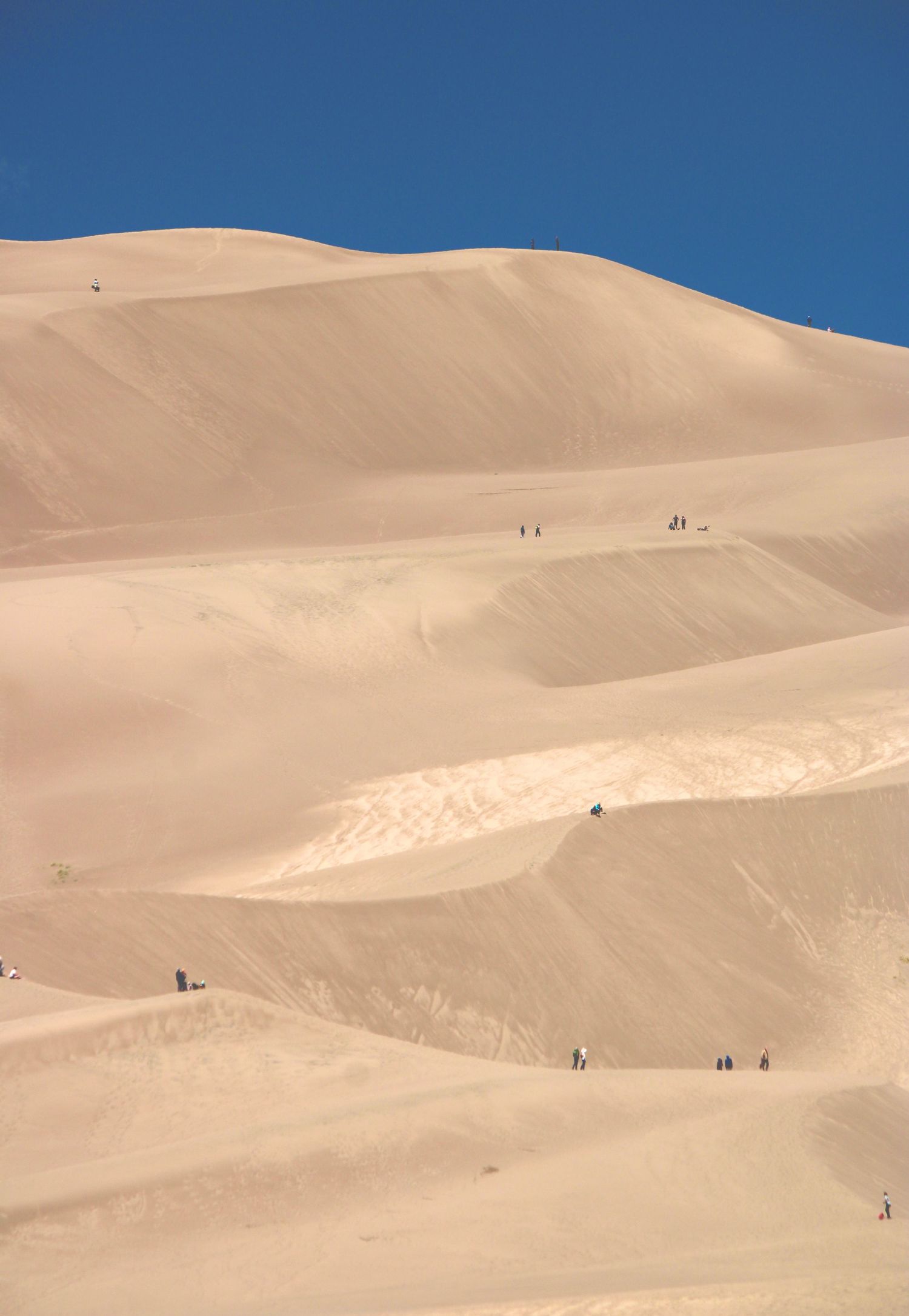 Small figures traverse the vast sand dunes of Great Sand Dunes National Park against a bright blue Colorado sky.