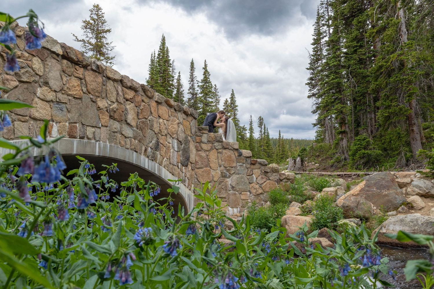Stone arch bridge over a mountain stream surrounded by blue wildflowers and pine trees in a scenic alpine landscape.